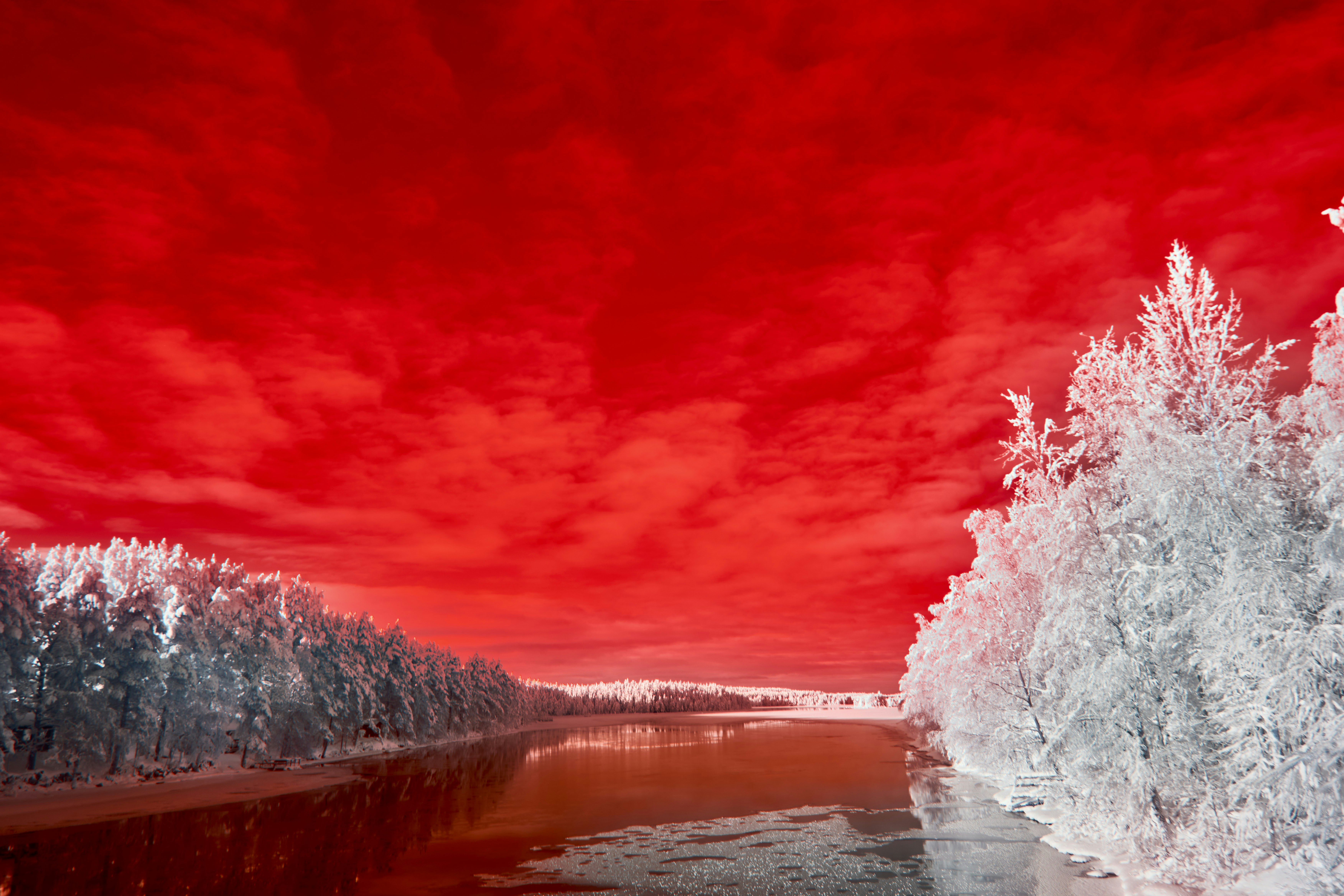 Photo by wolfgang_hasselmann