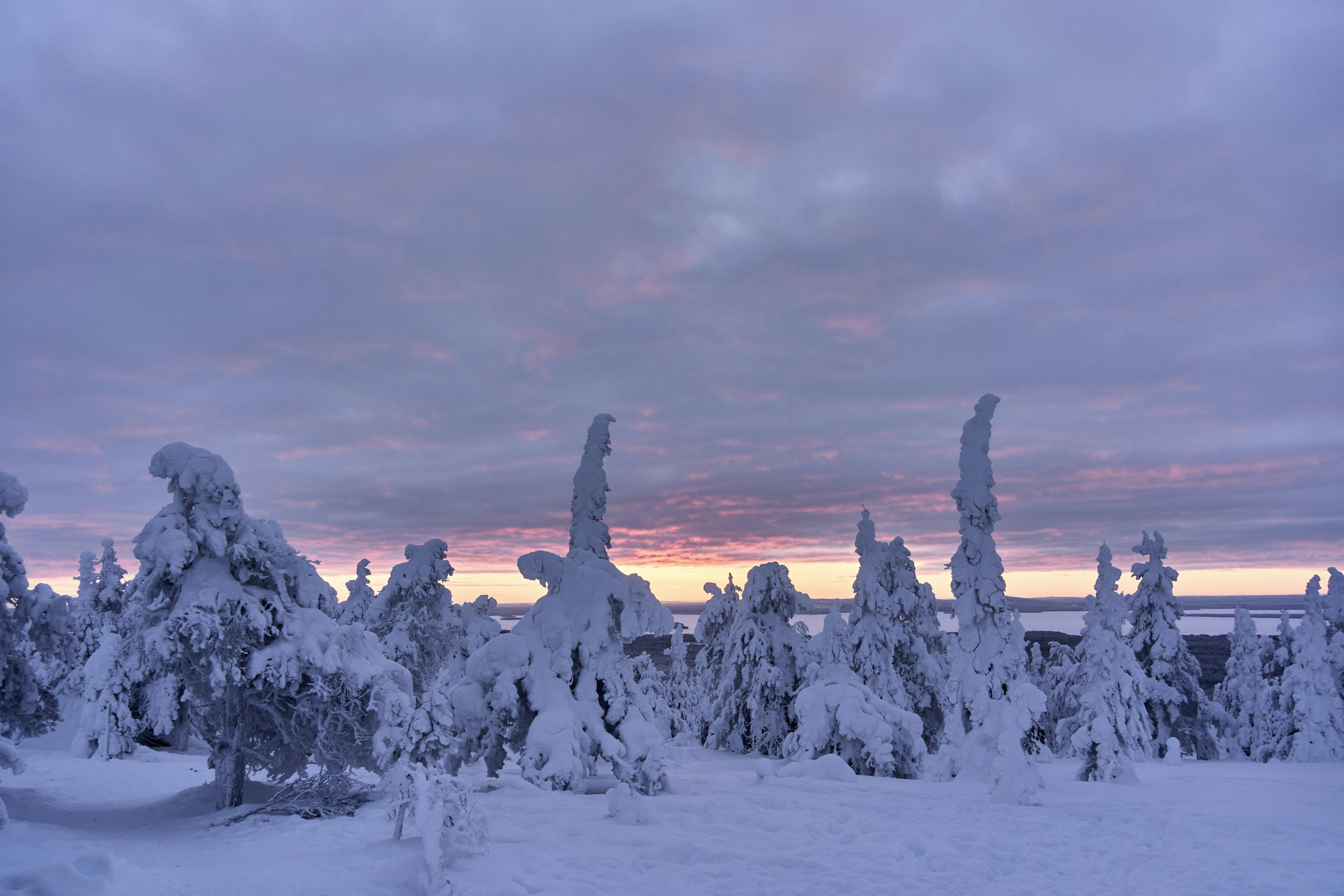 Photo by wolfgang_hasselmann