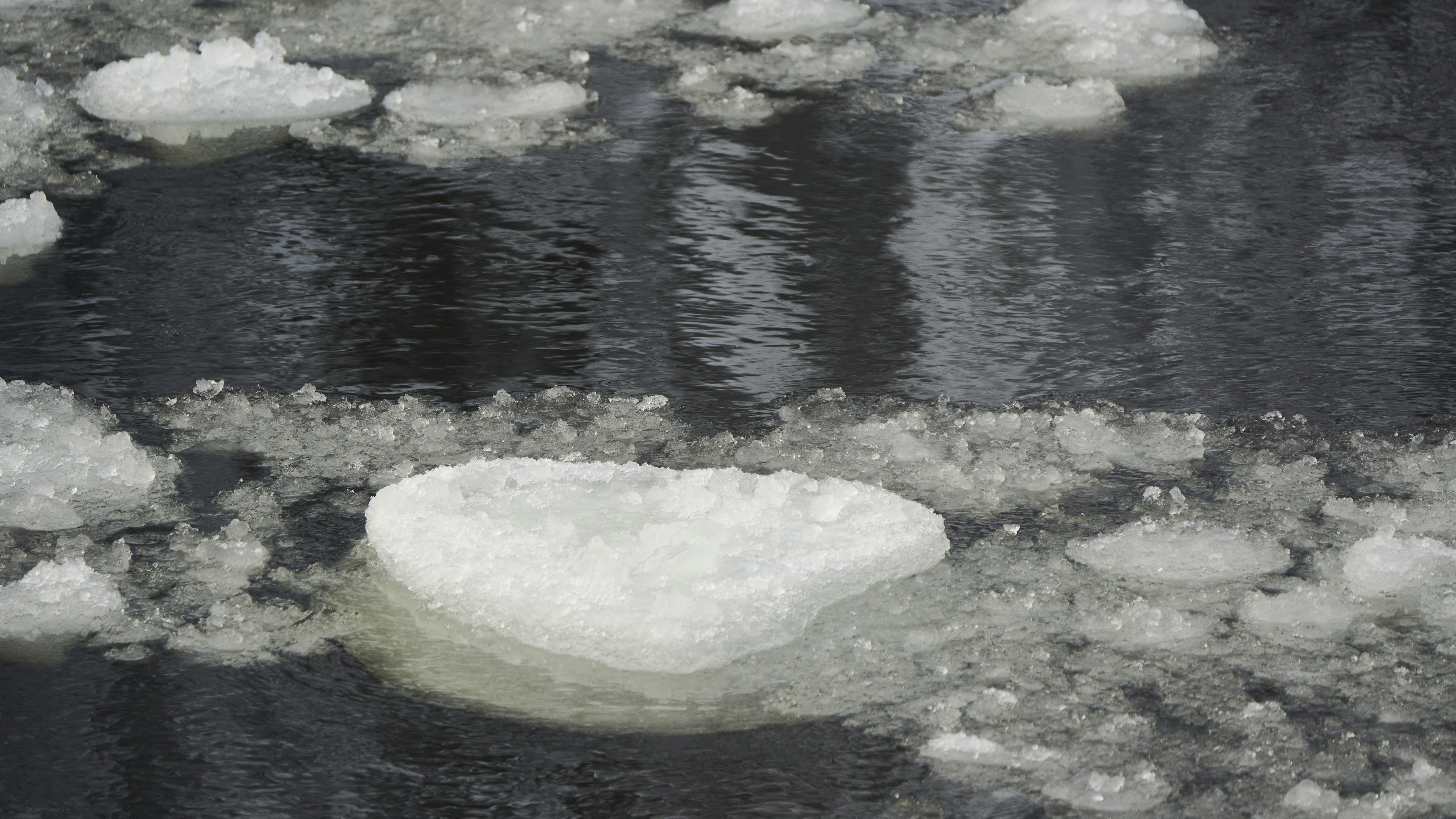 Ice floes floating on dark water