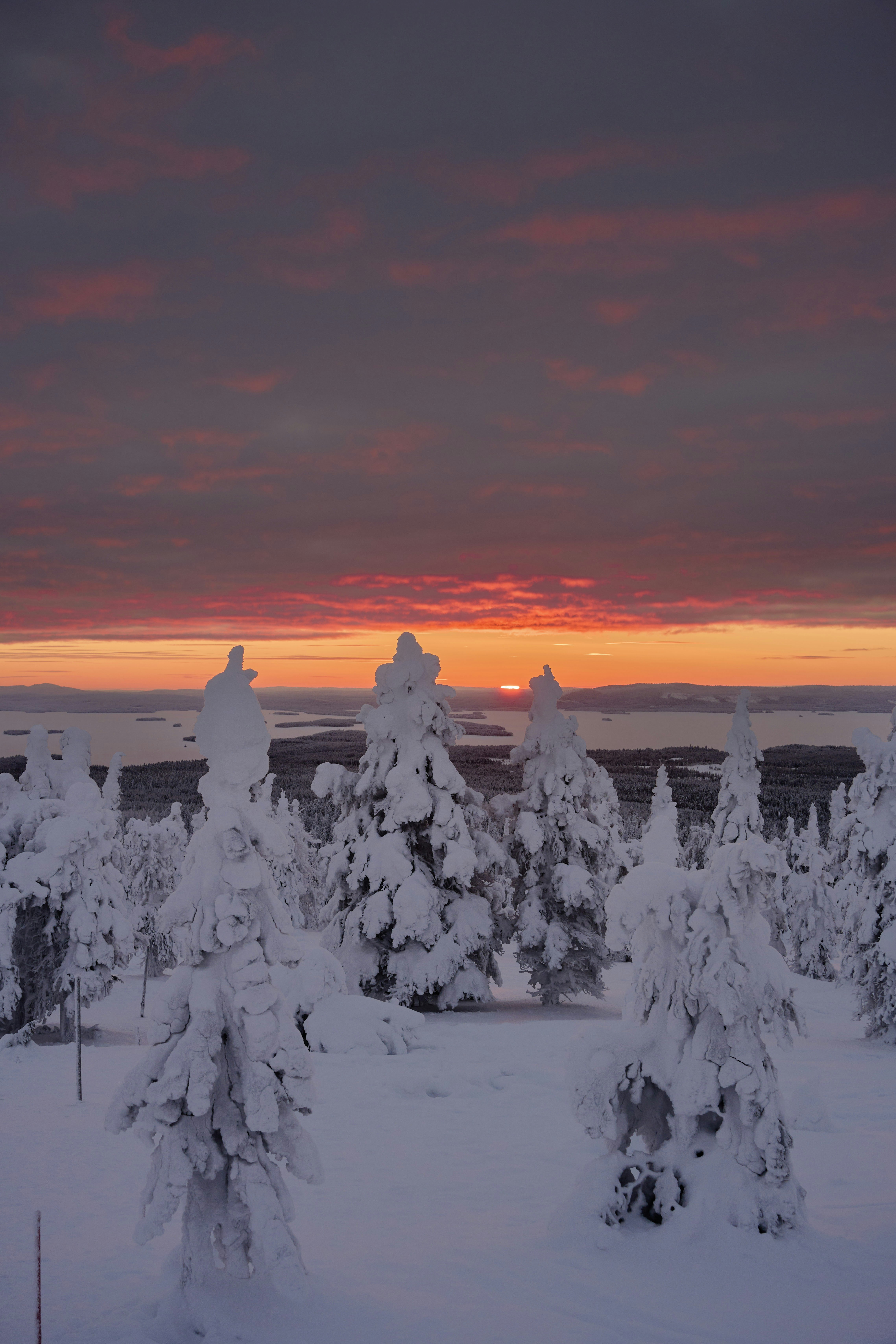 Photo by wolfgang_hasselmann