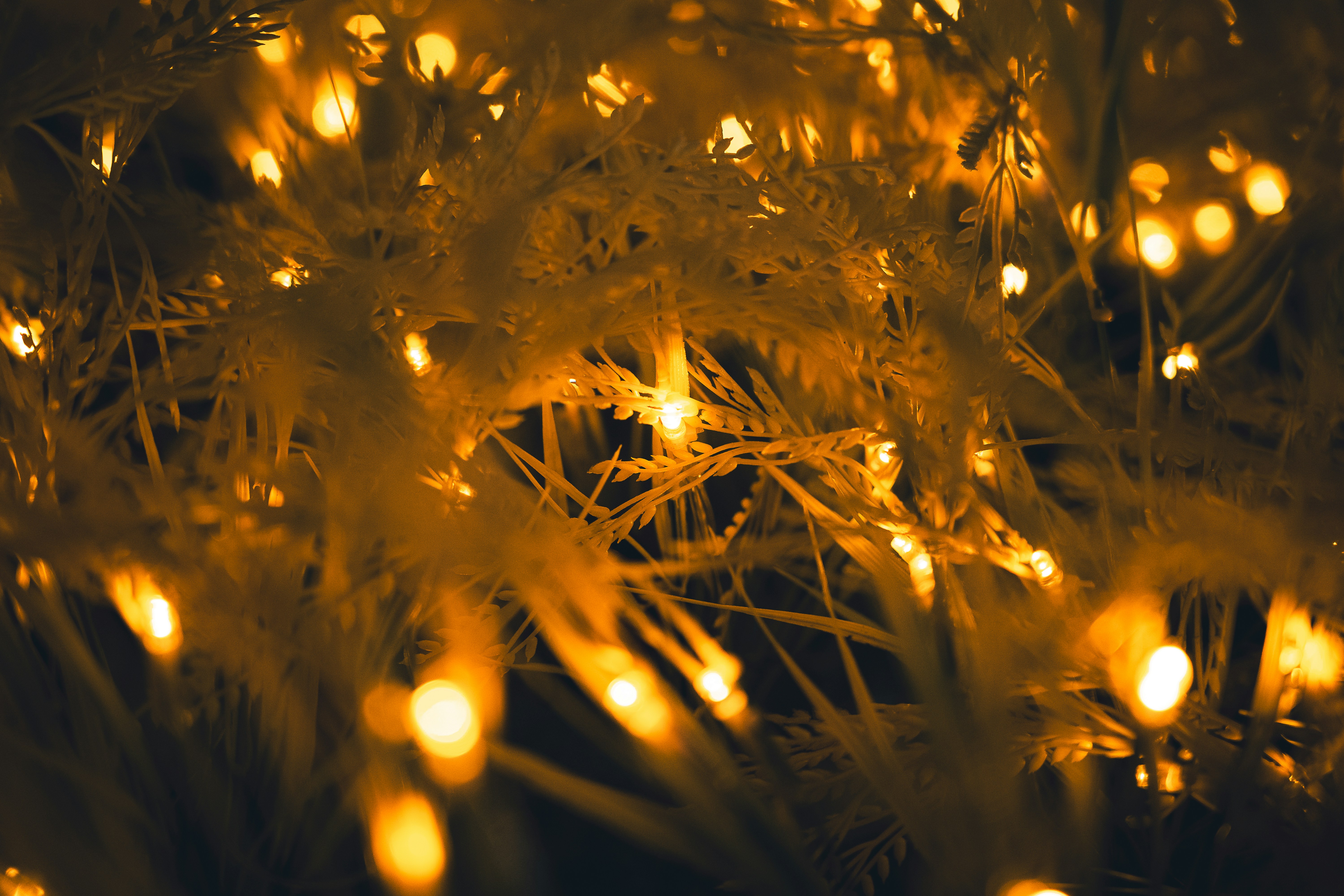 Photo by willianjusten