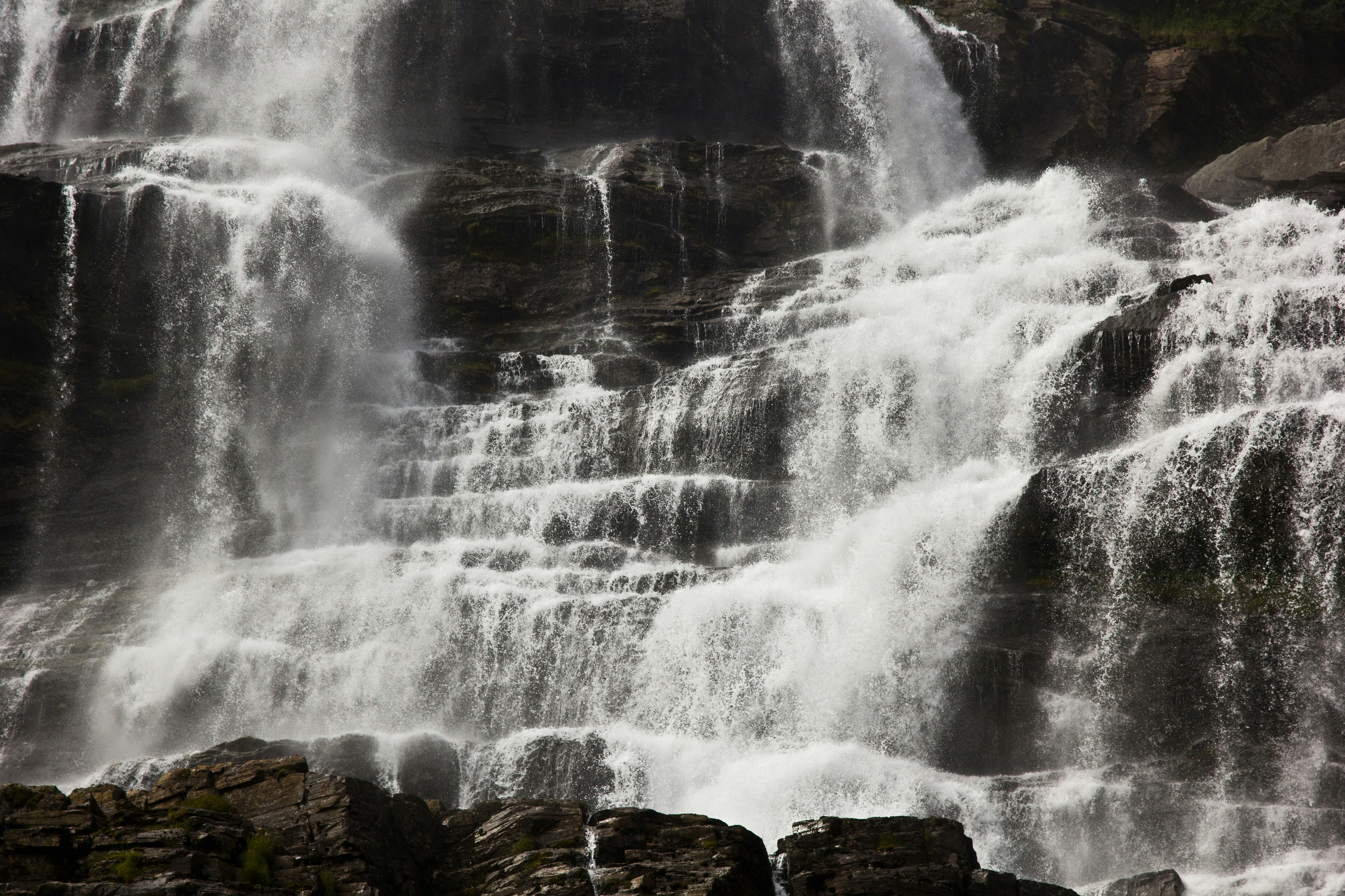 Photo by conniedevries