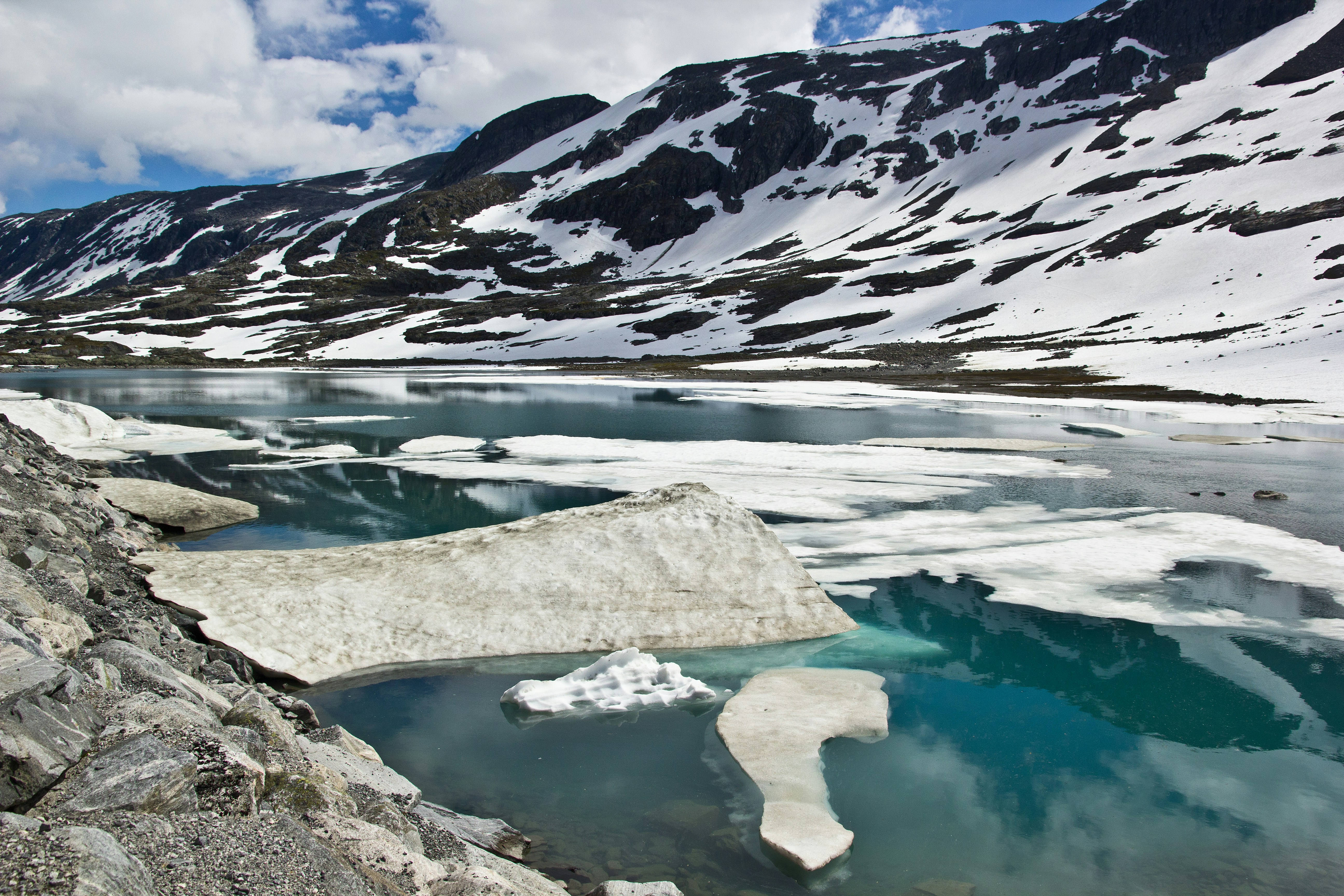 Photo by conniedevries