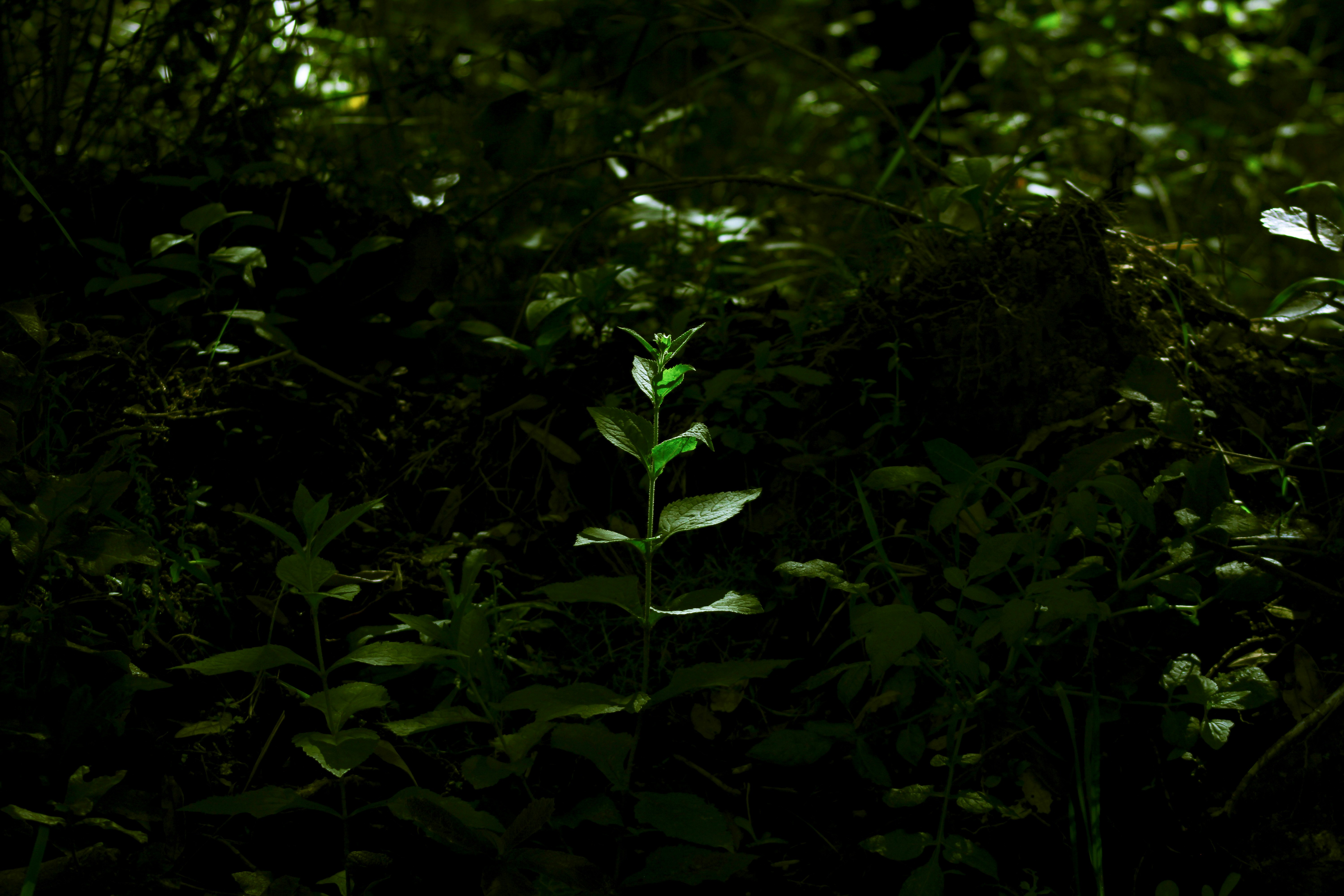 Photo by perla_olvera