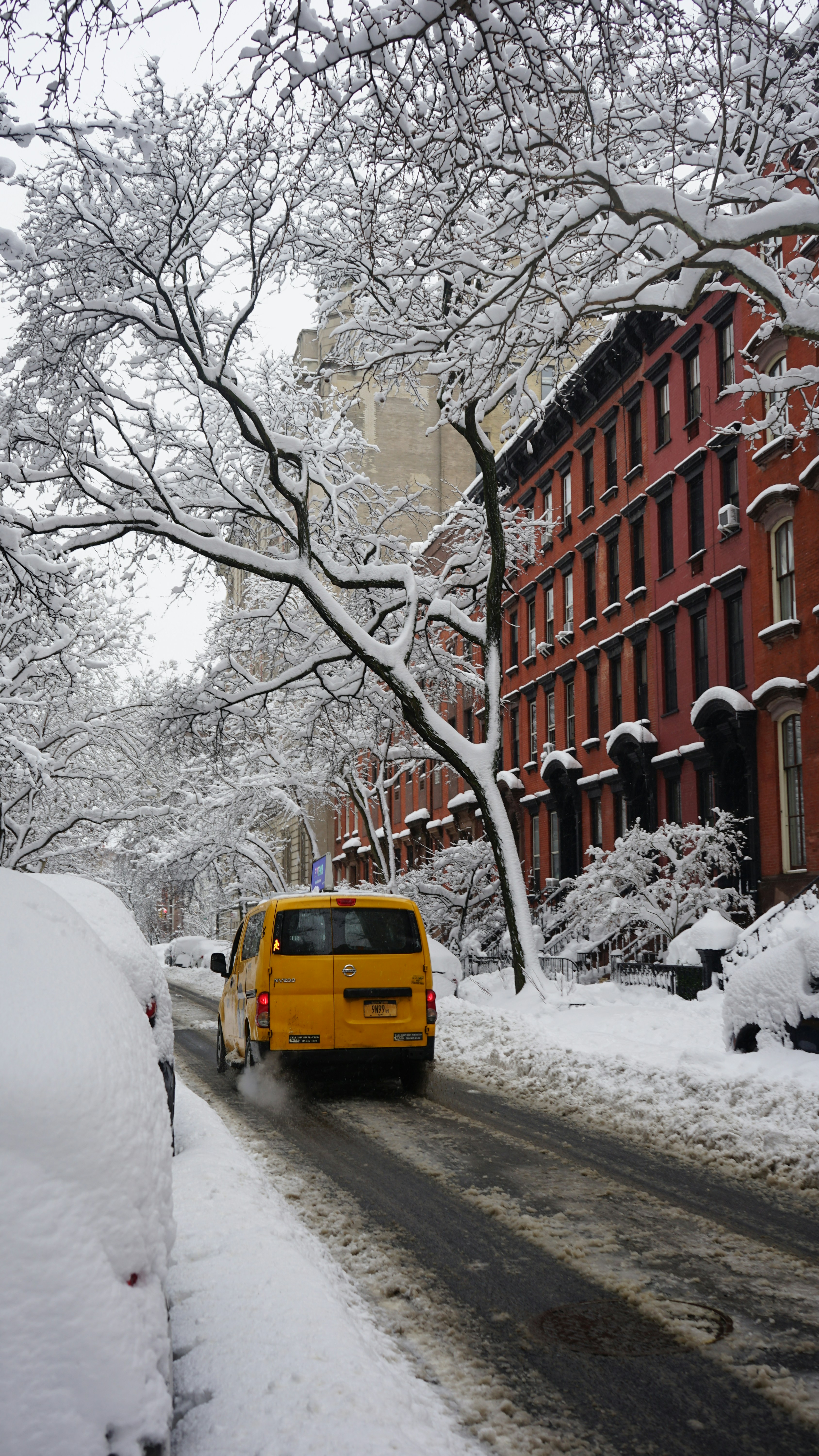 Photo by bloomingbee