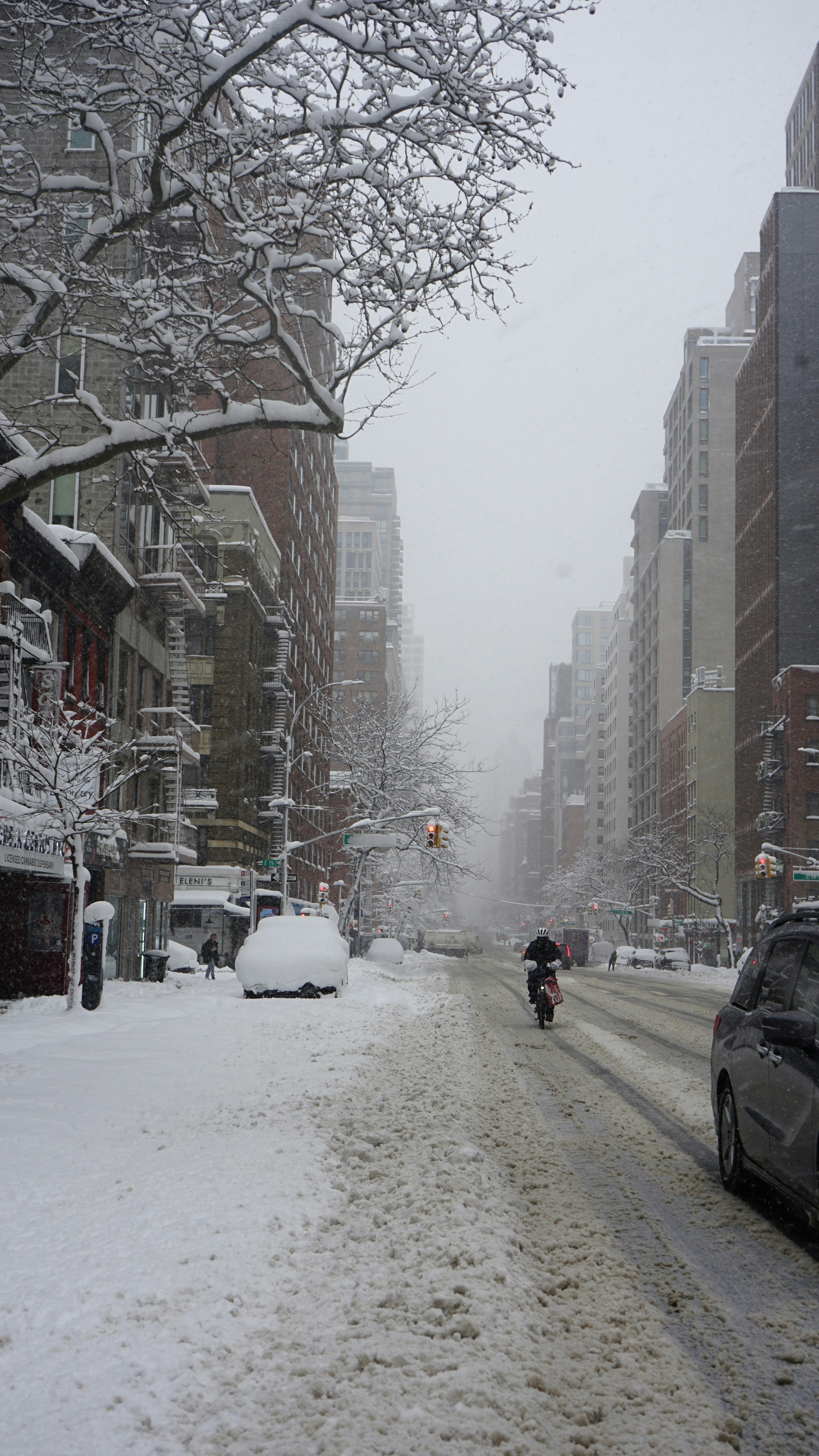 Photo by bloomingbee