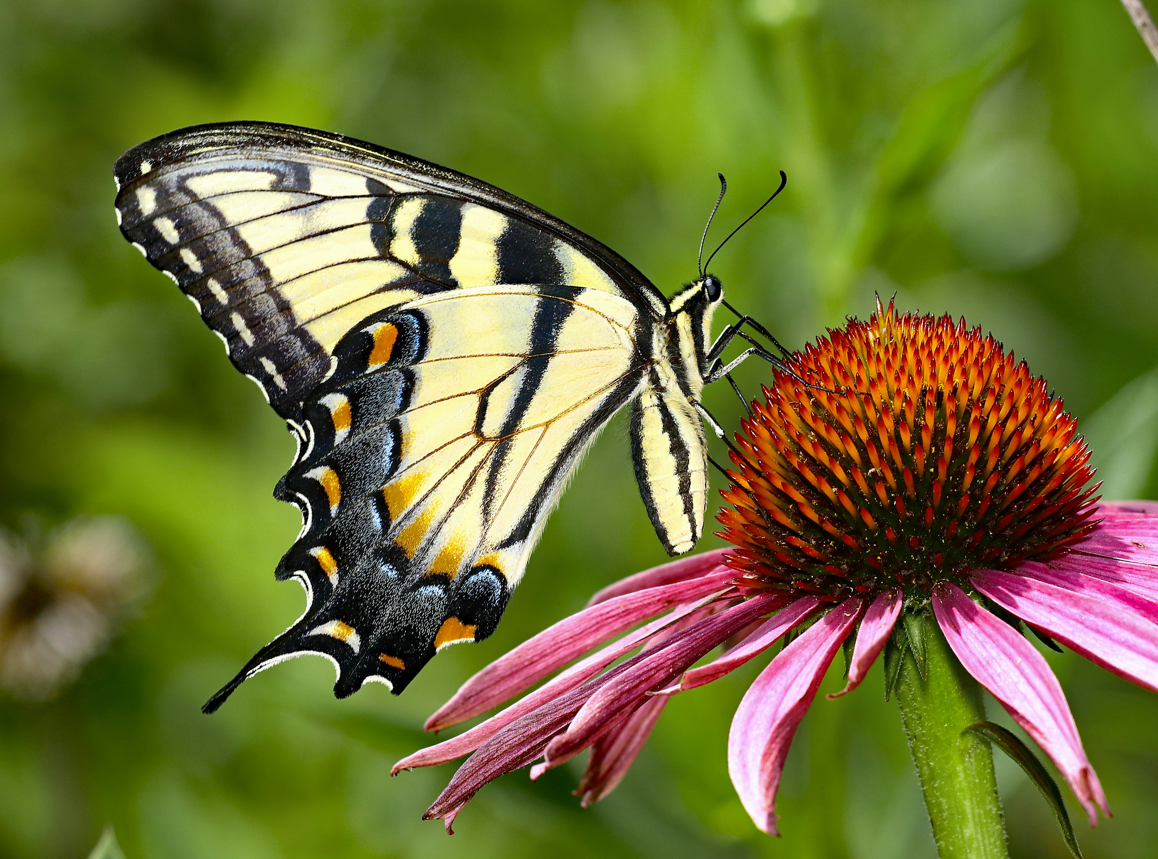 Photo by telliottmbamsc