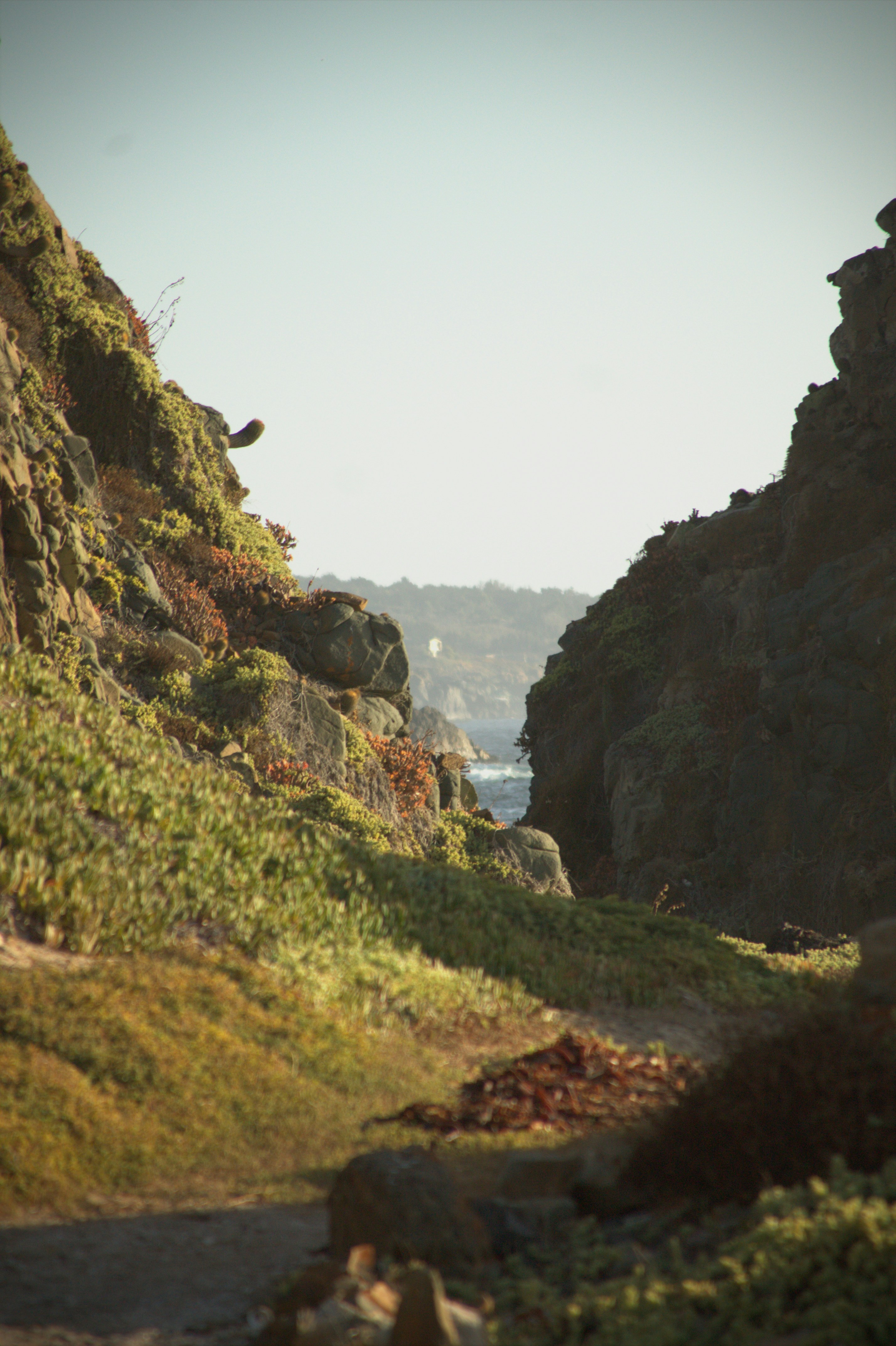 Sentier côtier rocheux menant à la vue sur l’océan