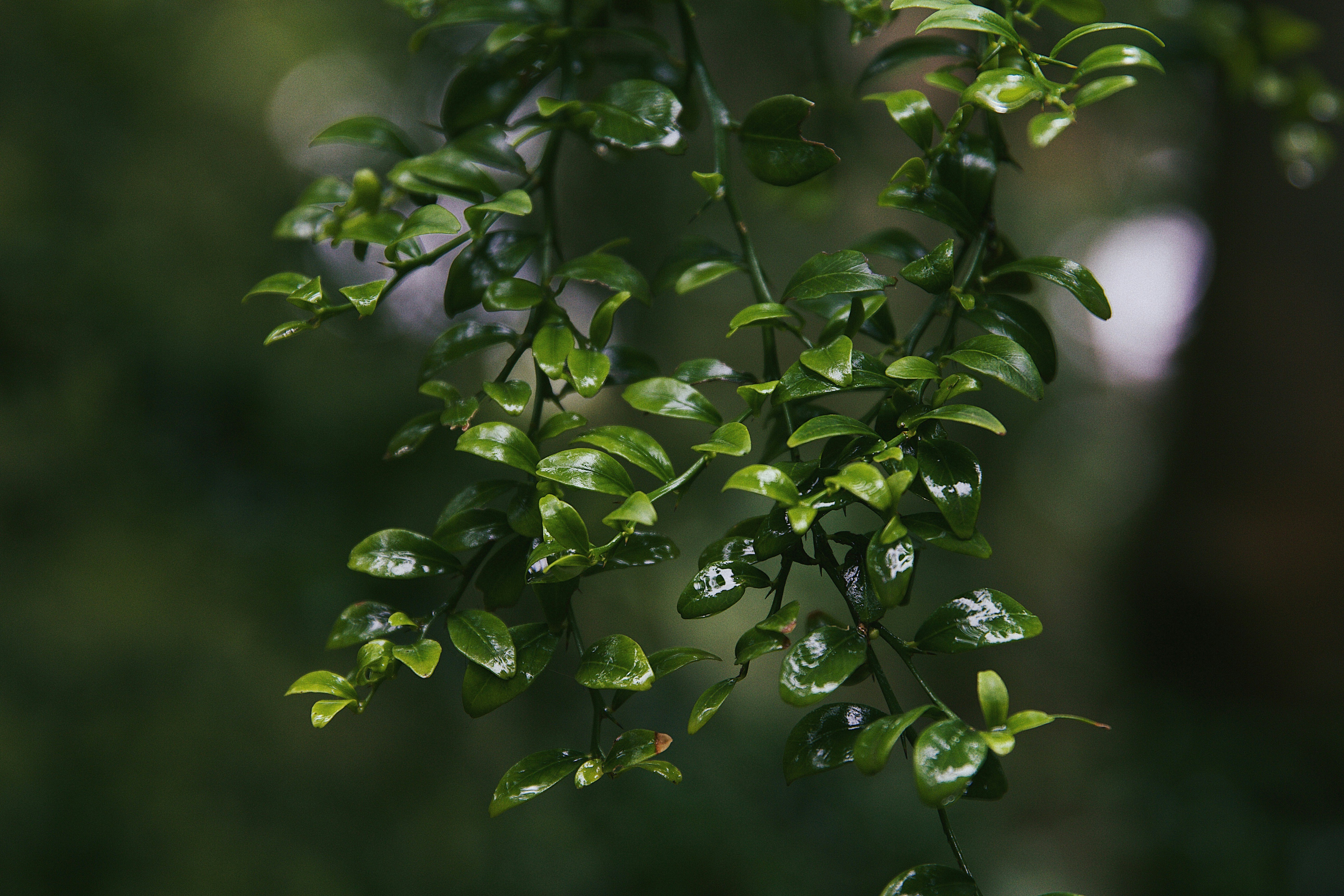 Photo by raegocreative