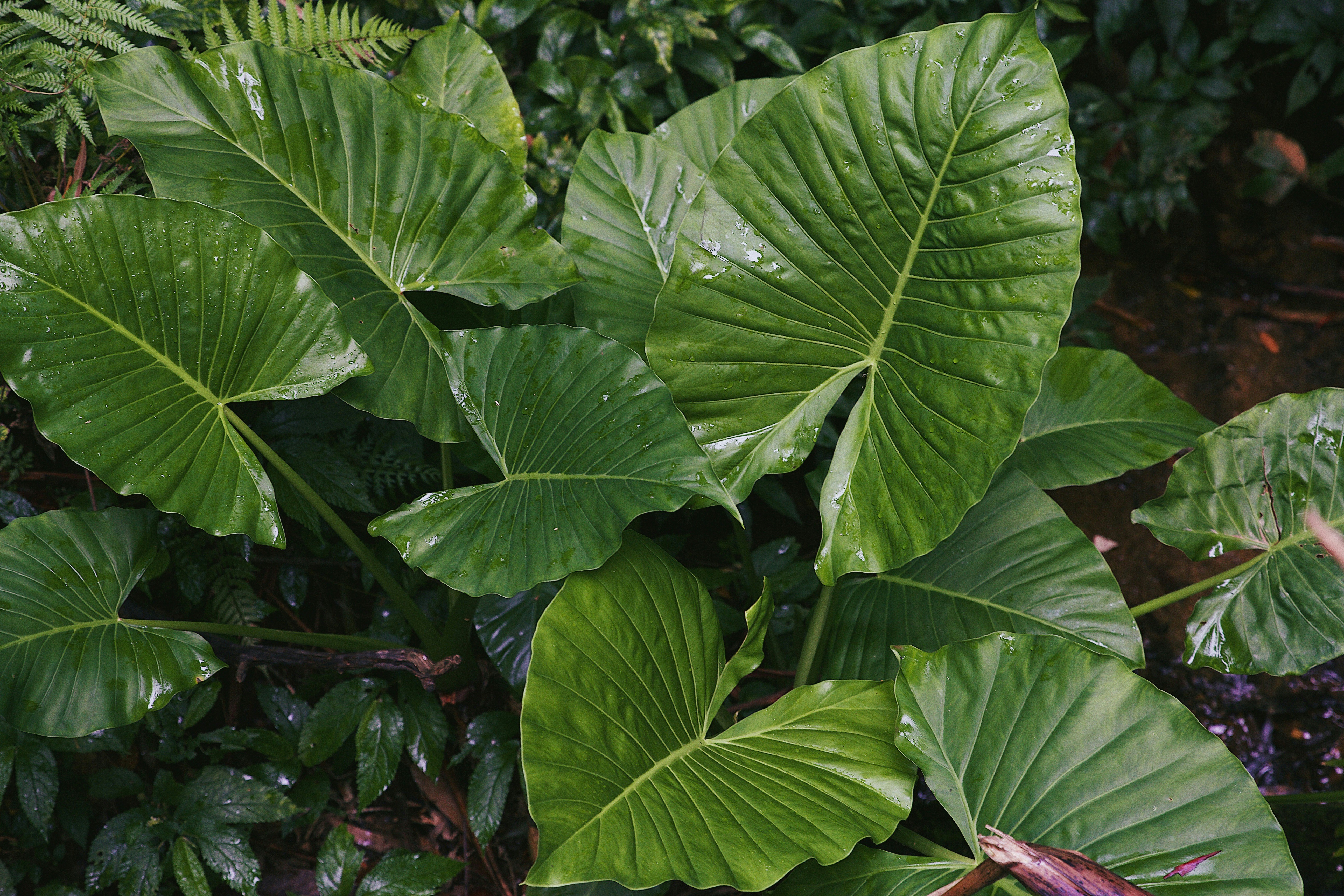 Photo by raegocreative