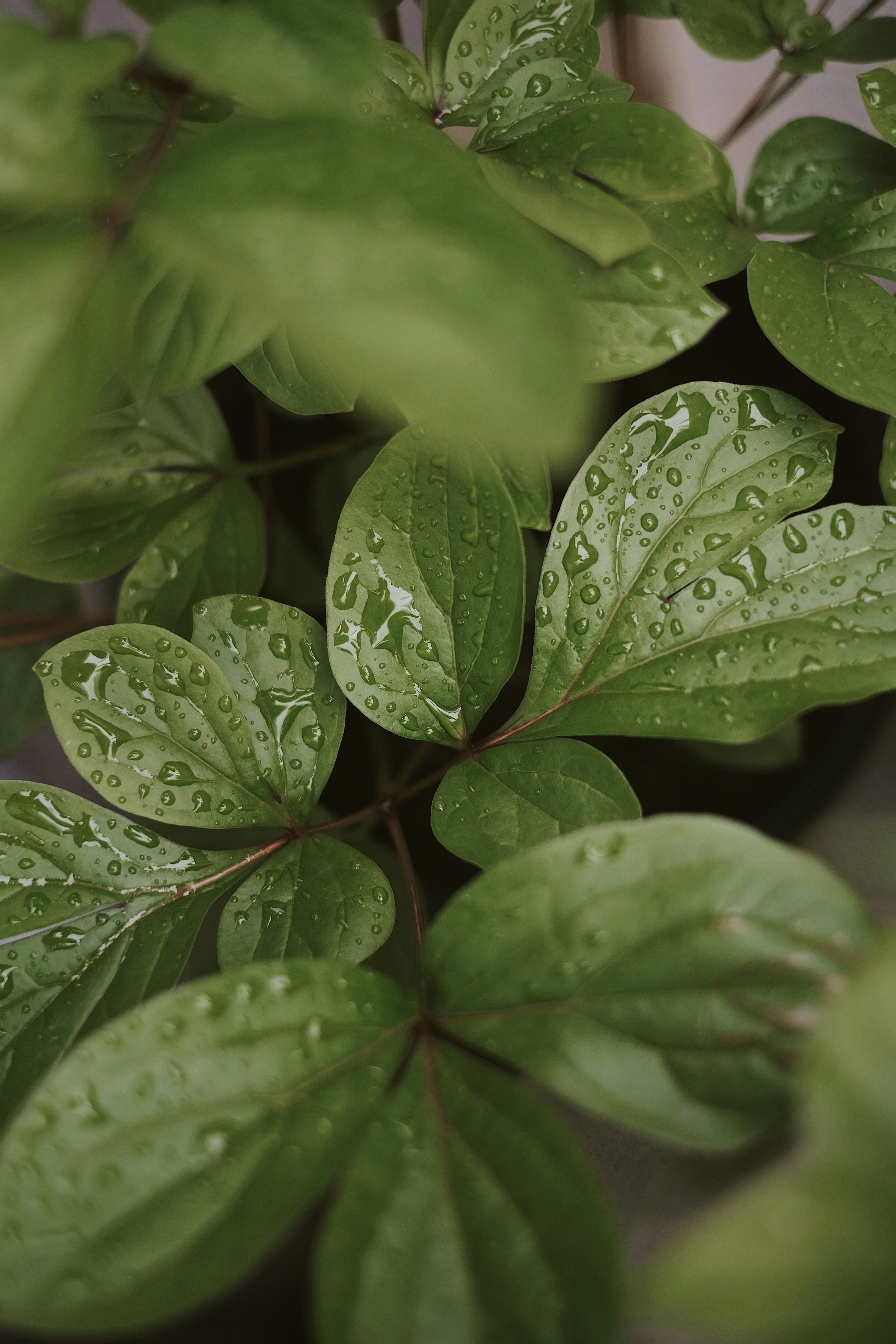 Photo by raegocreative