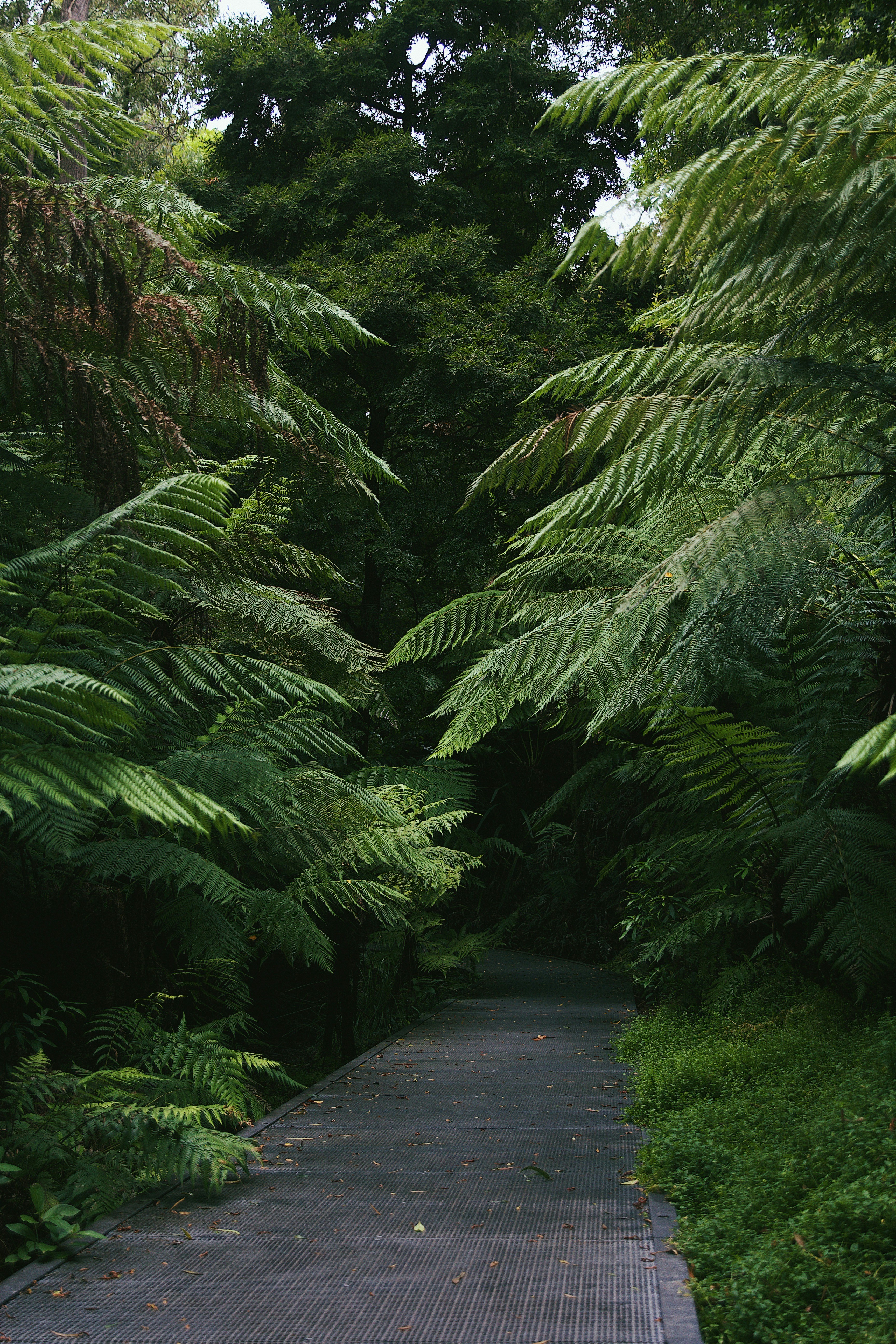 Photo by raegocreative