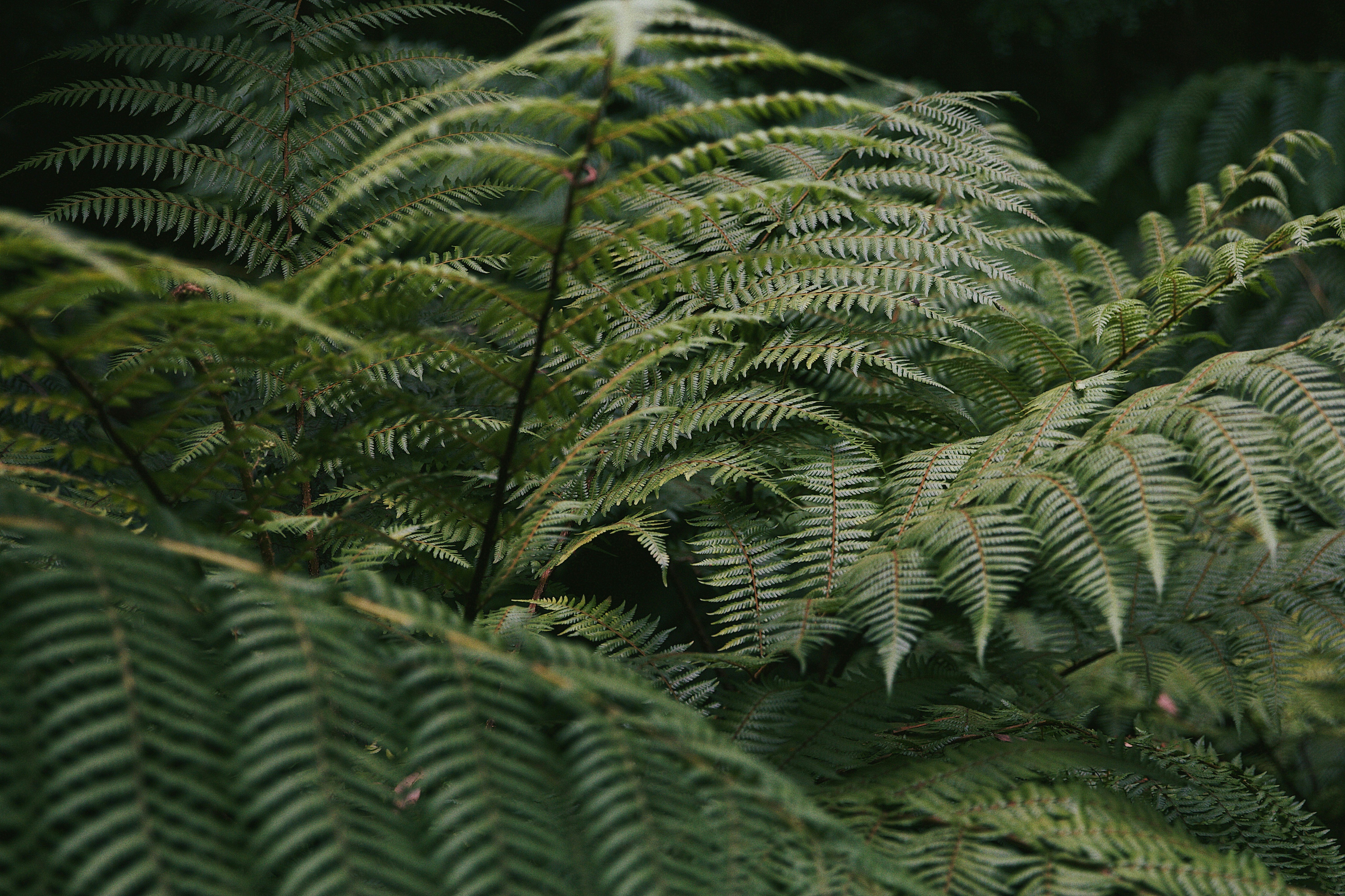 Photo by raegocreative