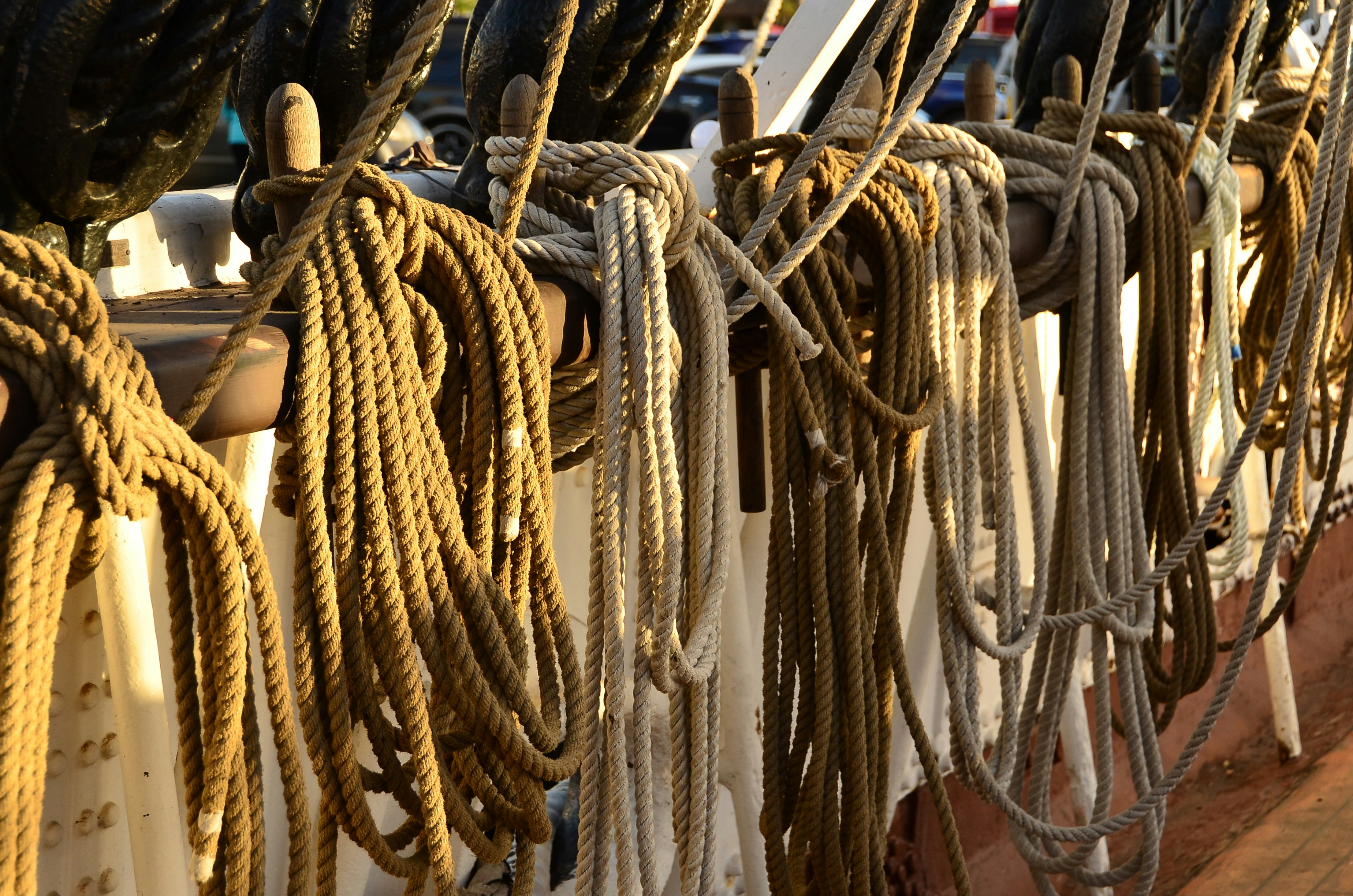 nautical price comparison