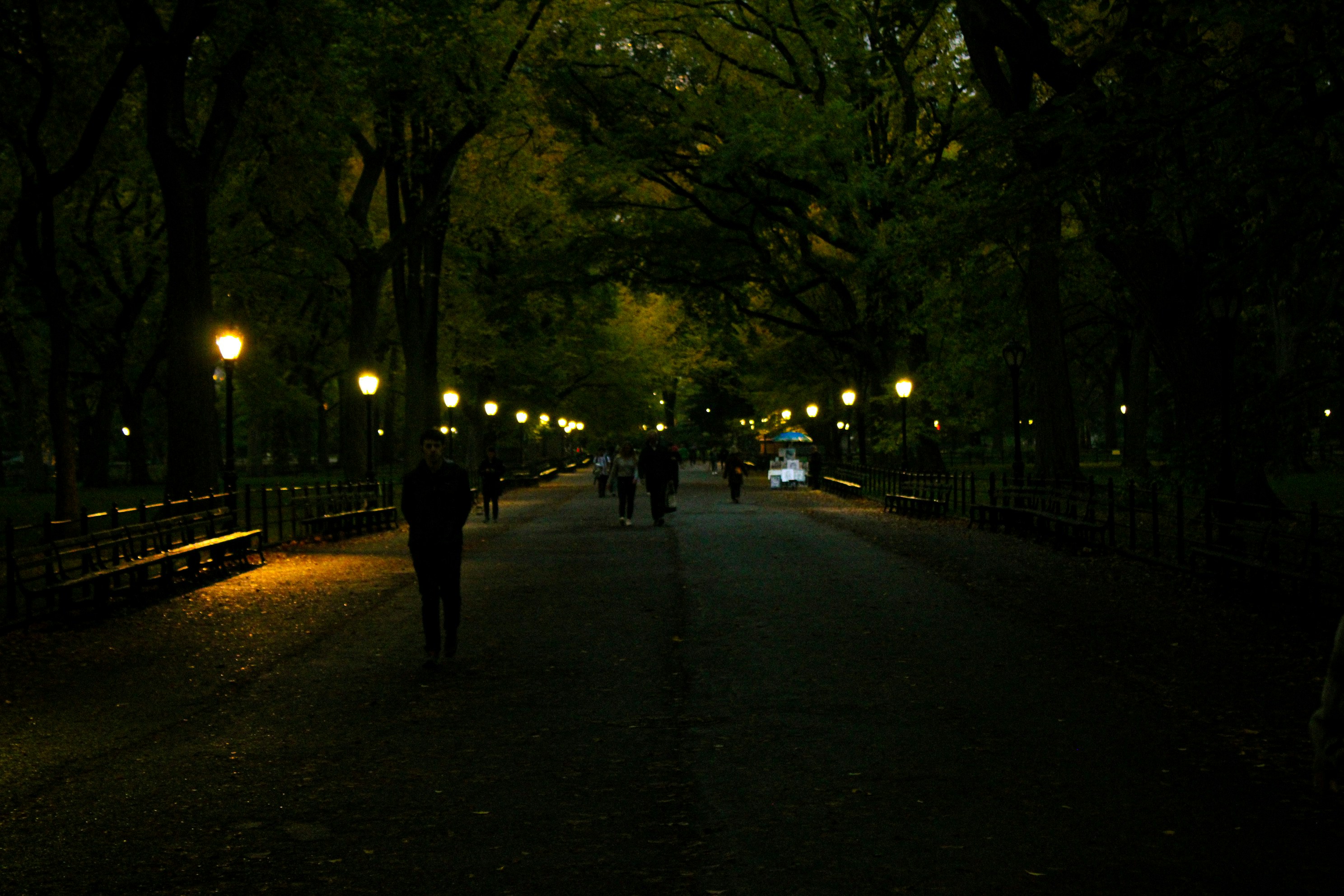Park walking