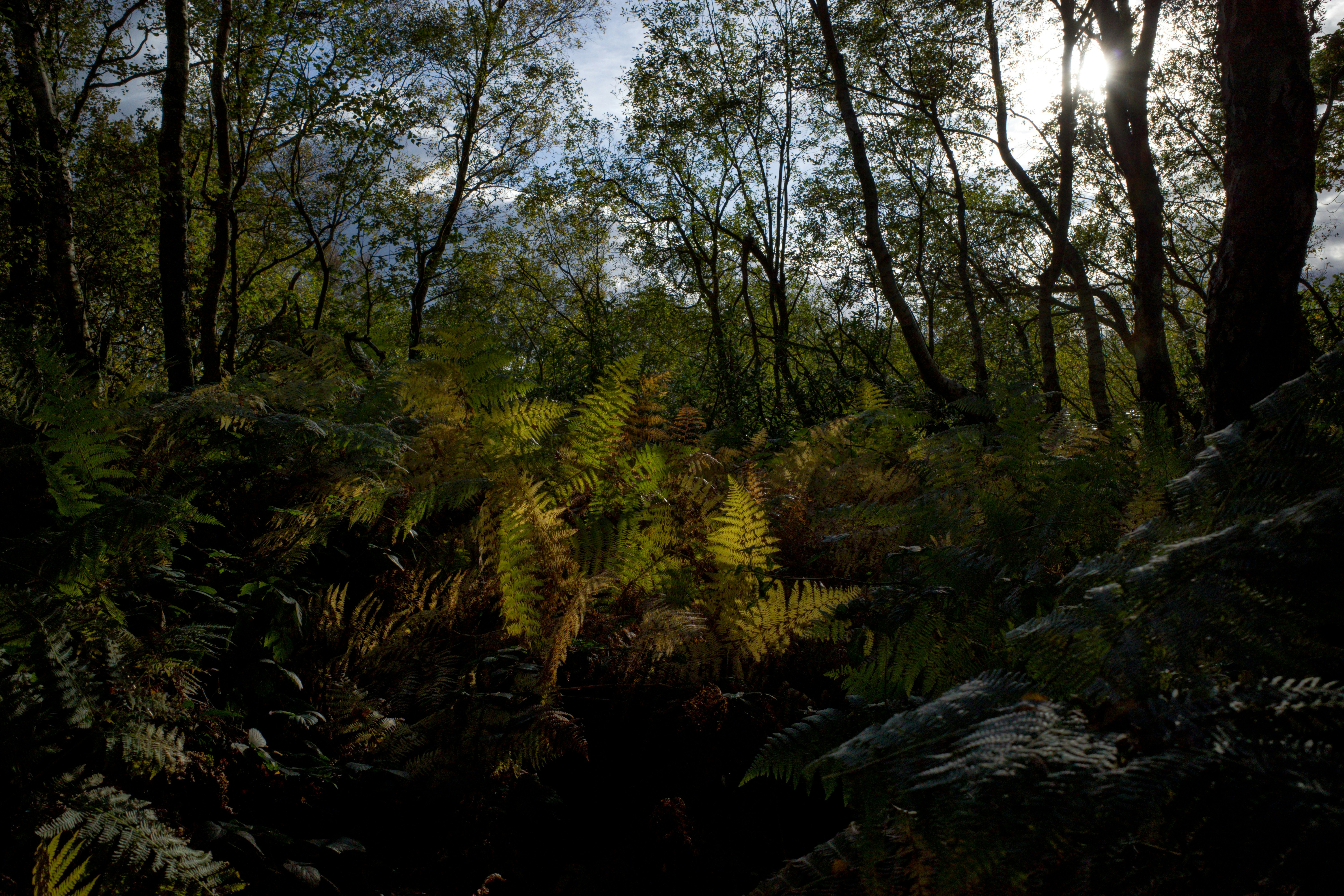 Photo by davidk23skidos