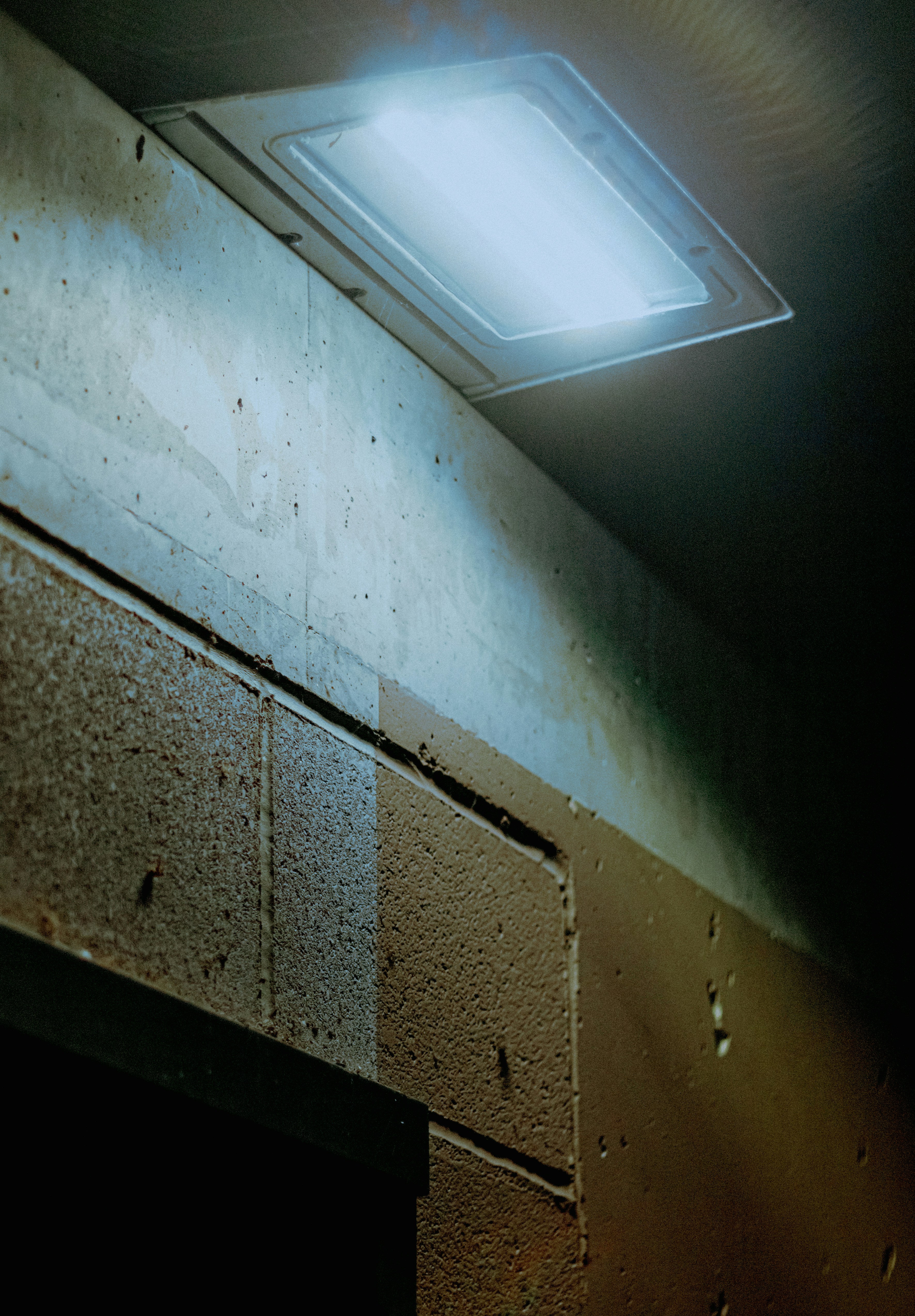 Photo by linusbelanger