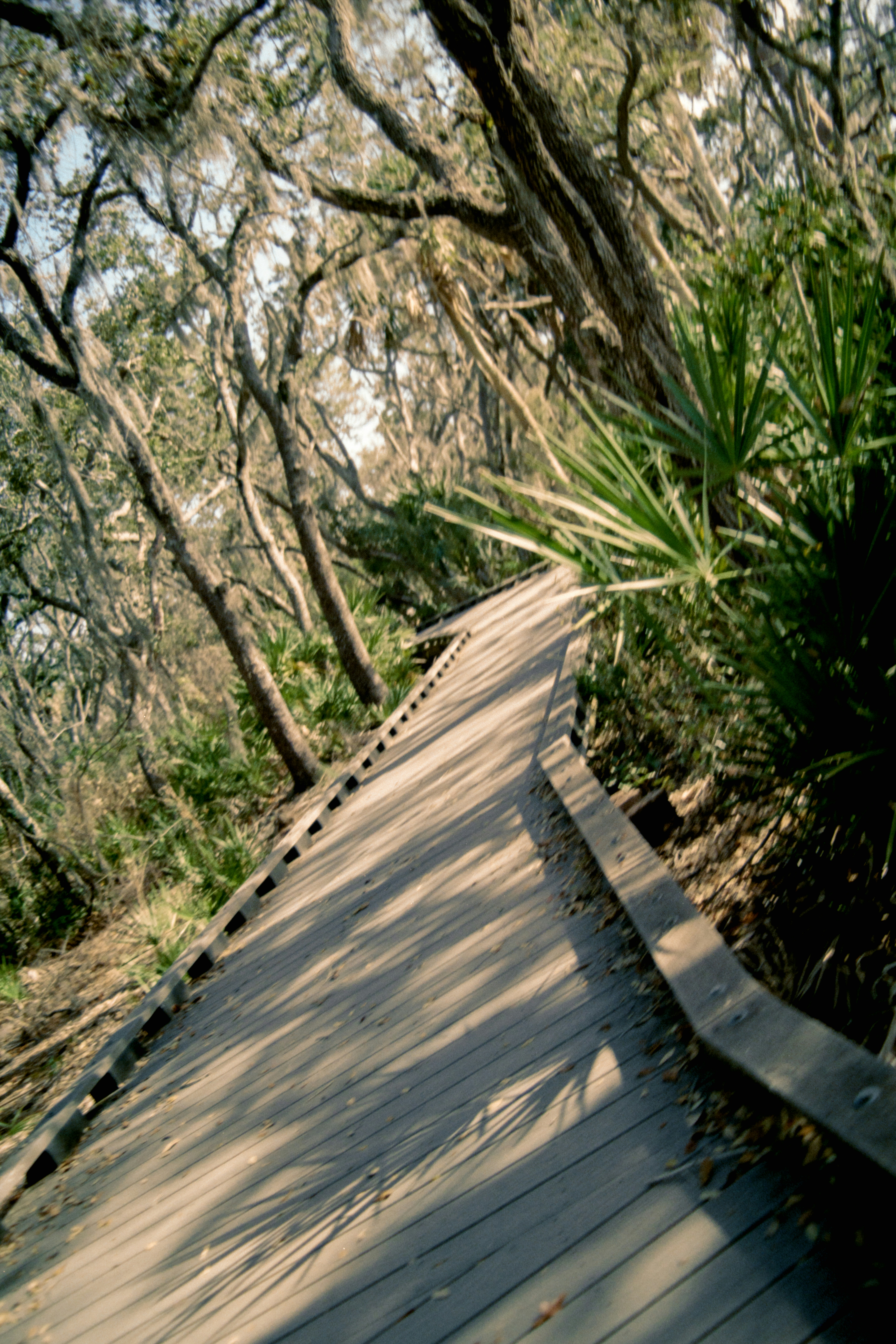 Photo by brookebalentine