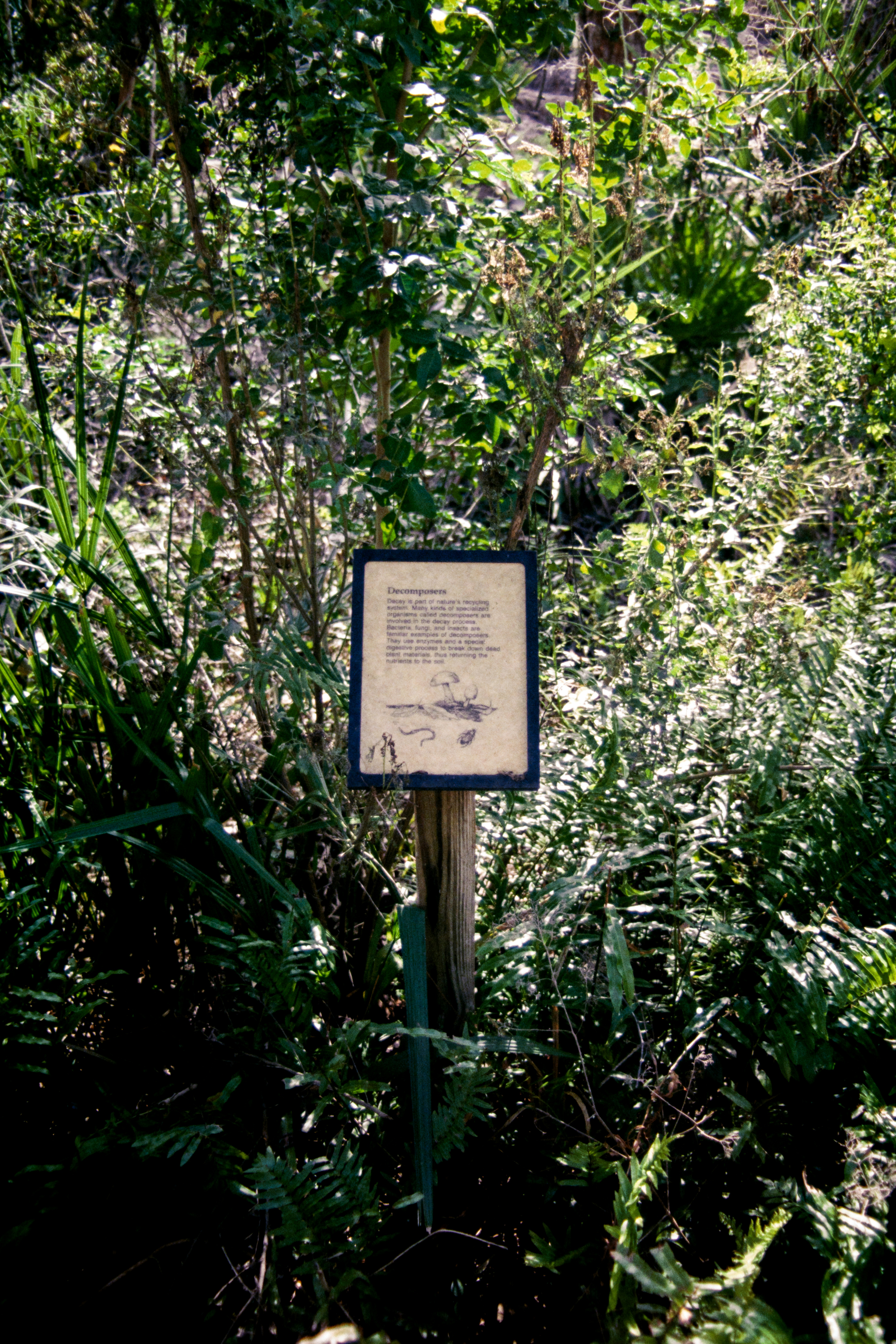 Photo by brookebalentine