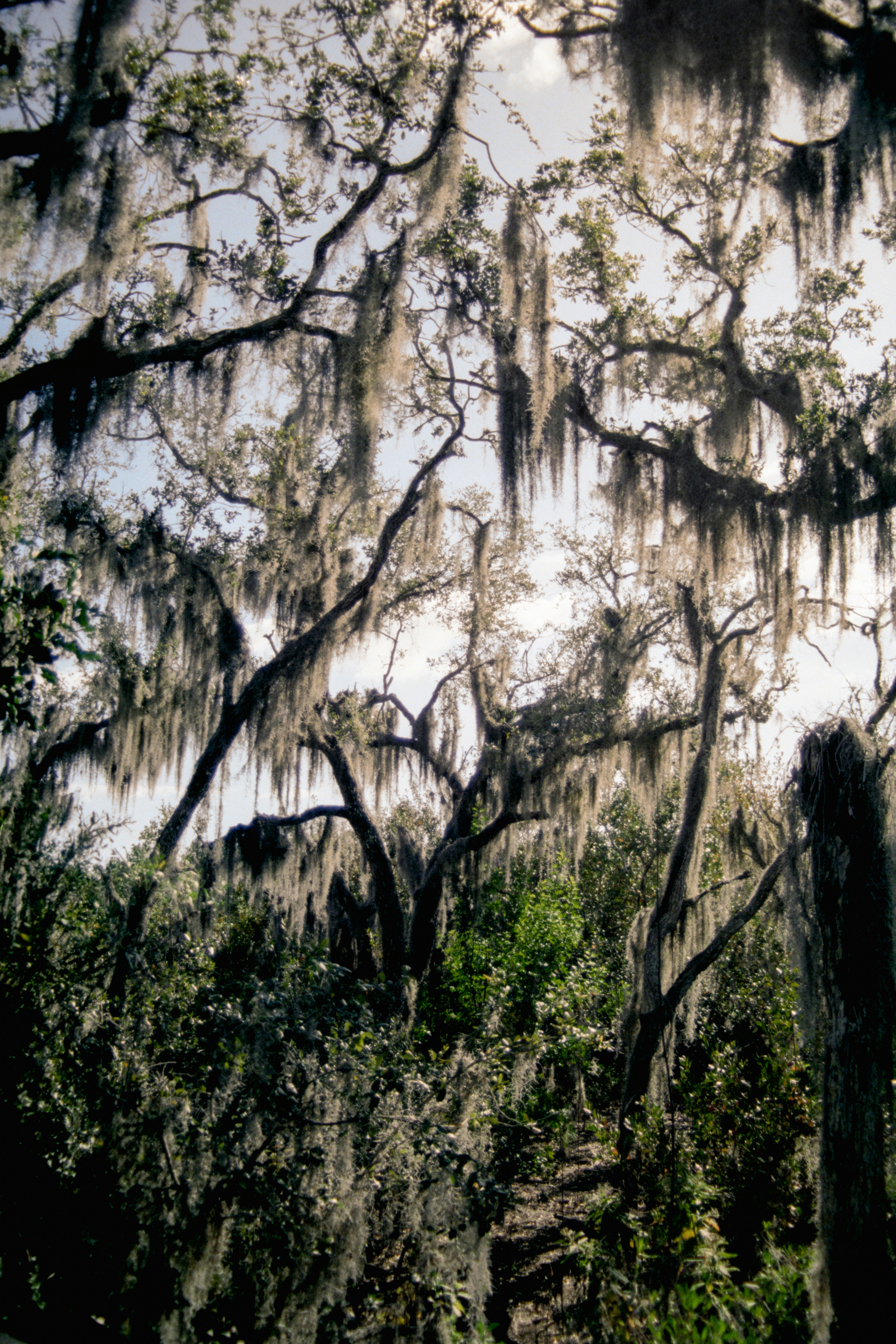 Photo by brookebalentine