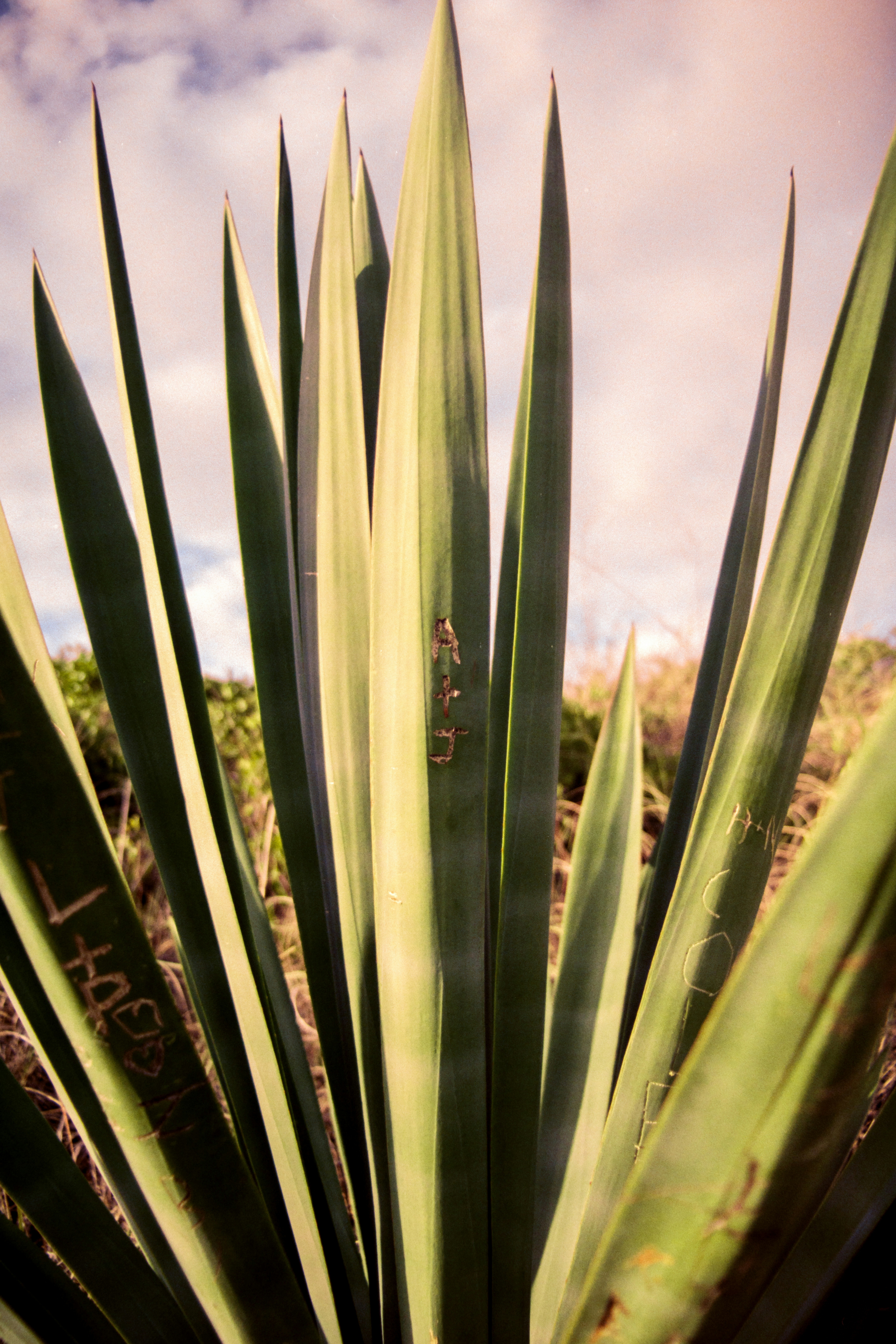 Photo by brookebalentine