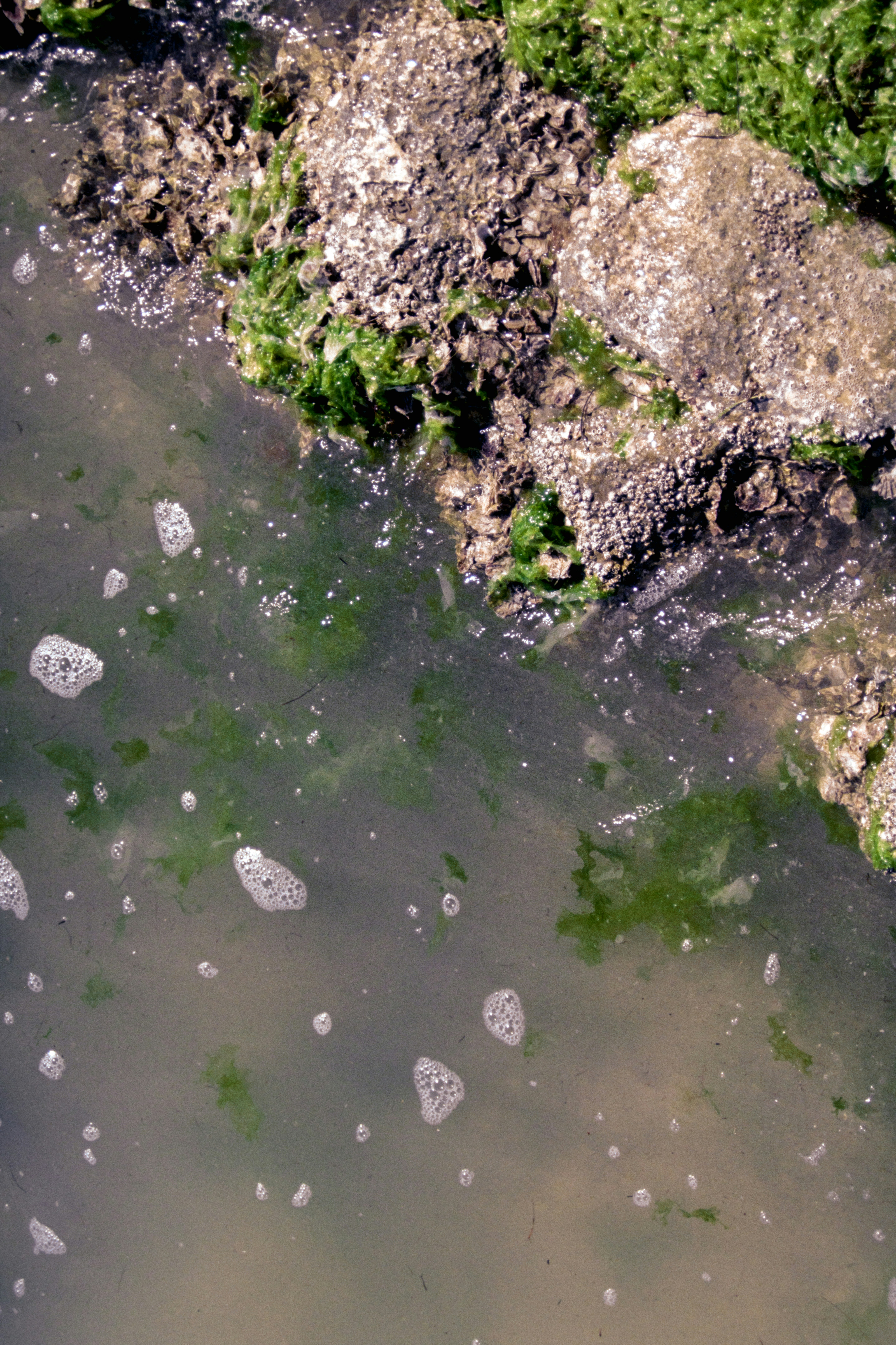 Photo by brookebalentine