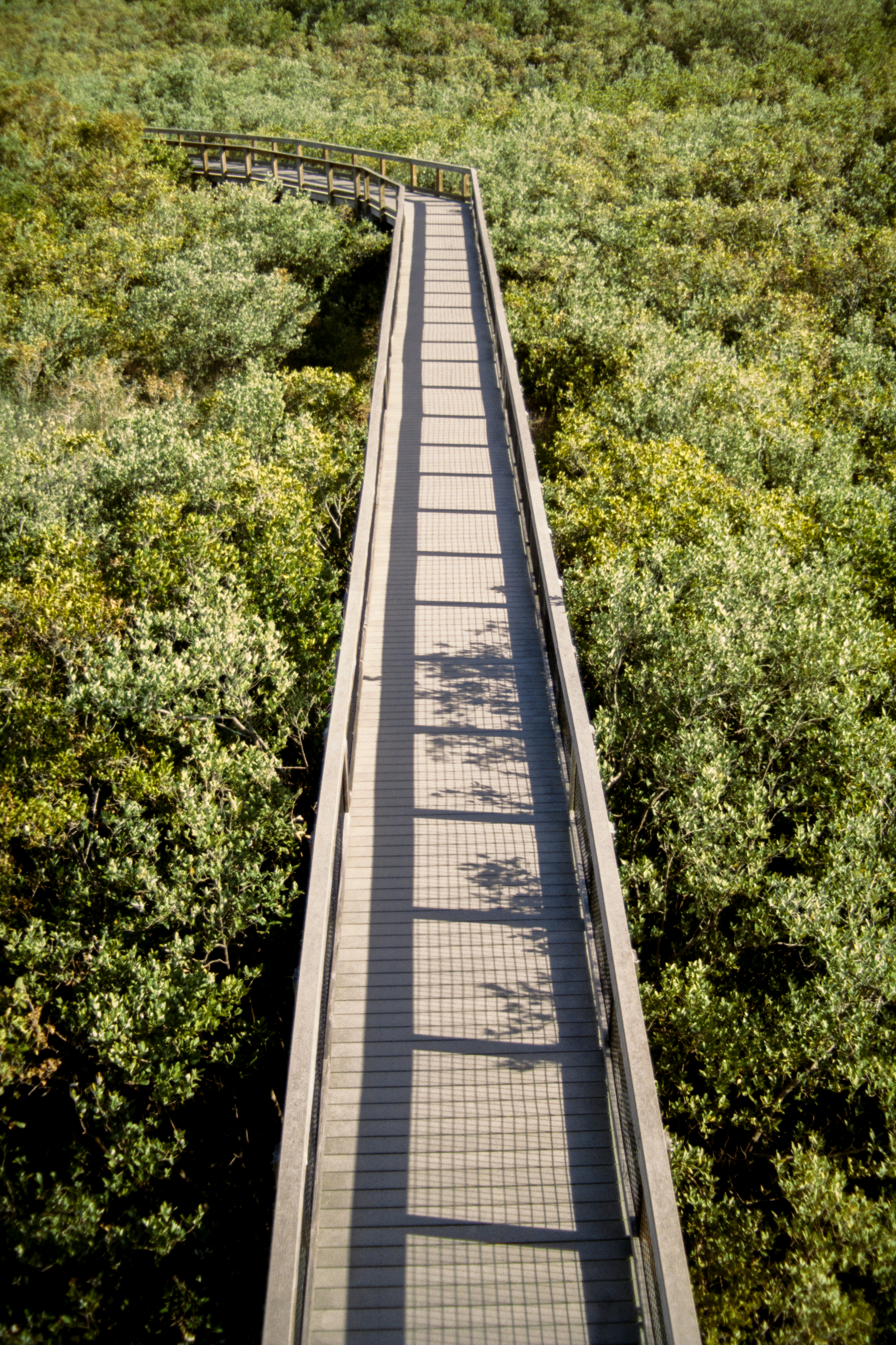 Photo by brookebalentine