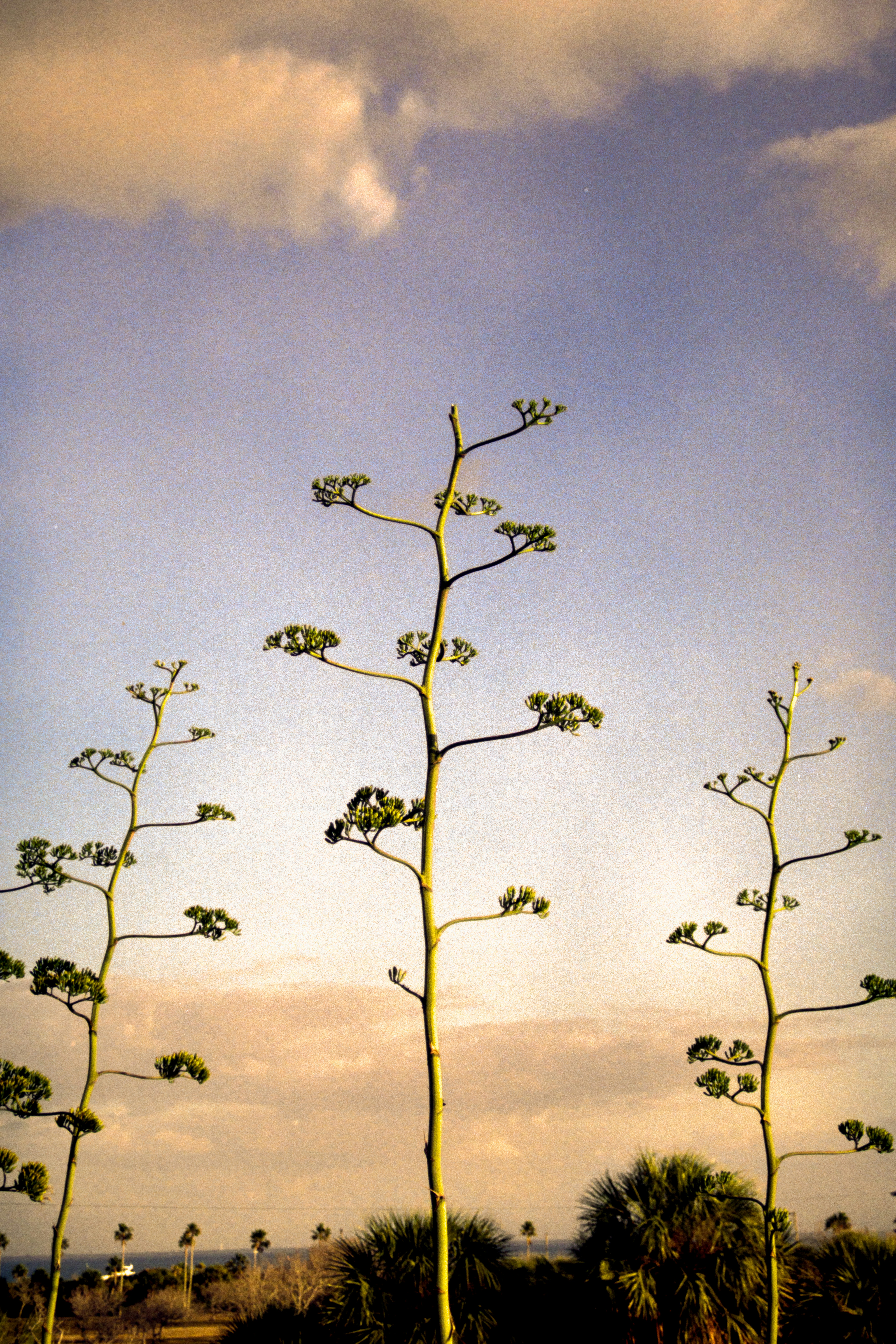 Photo by brookebalentine