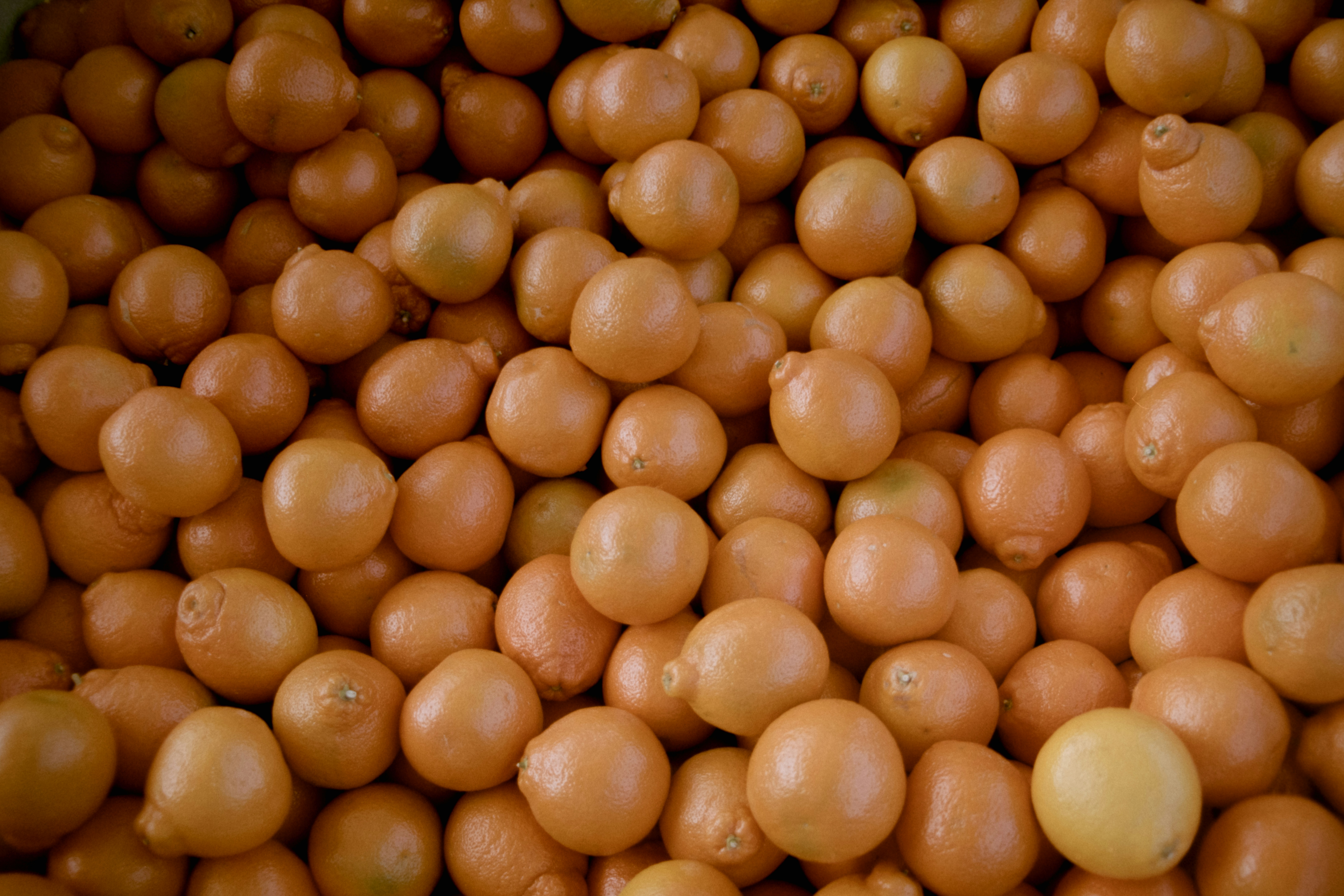 Photo by brookebalentine