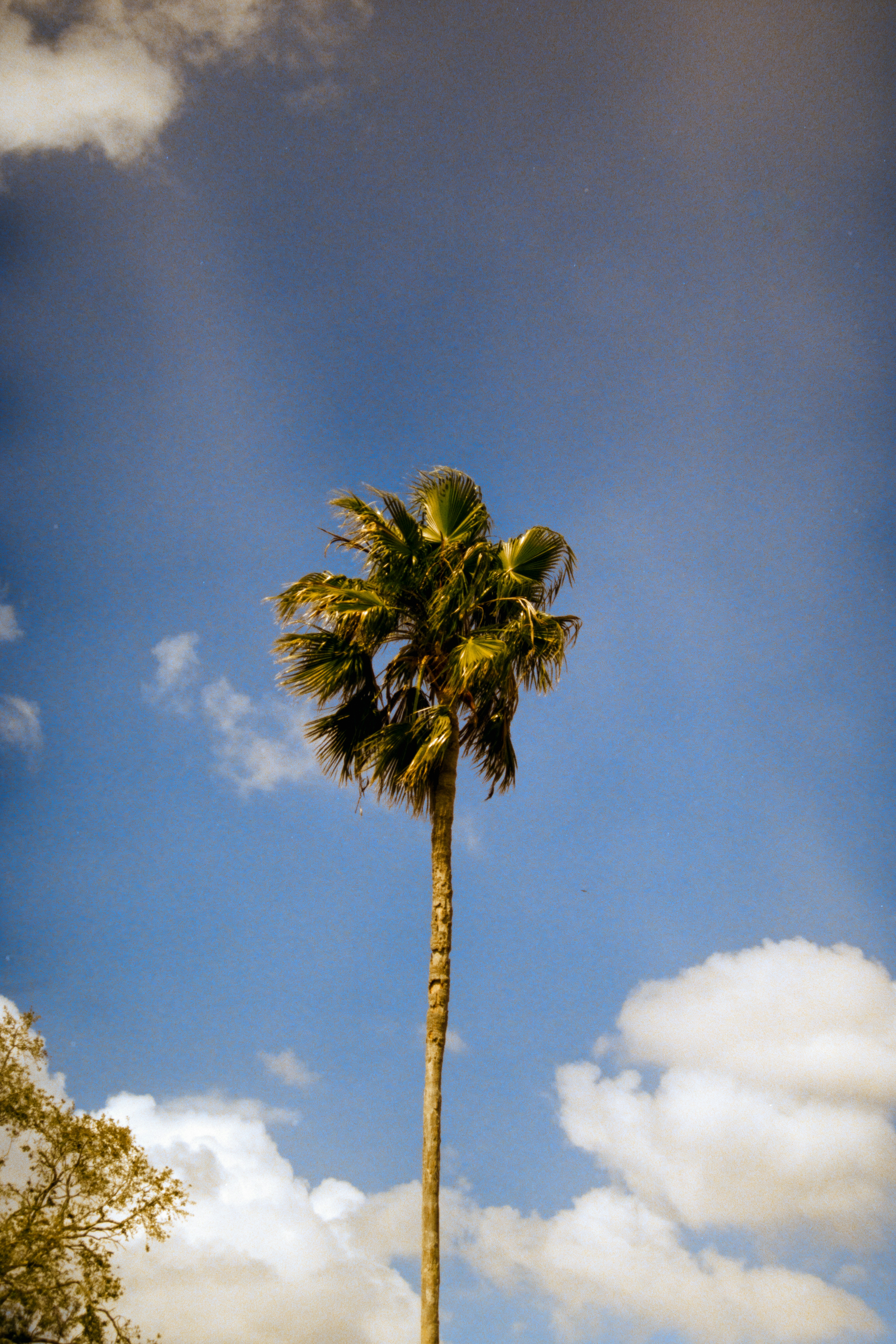 Photo by brookebalentine