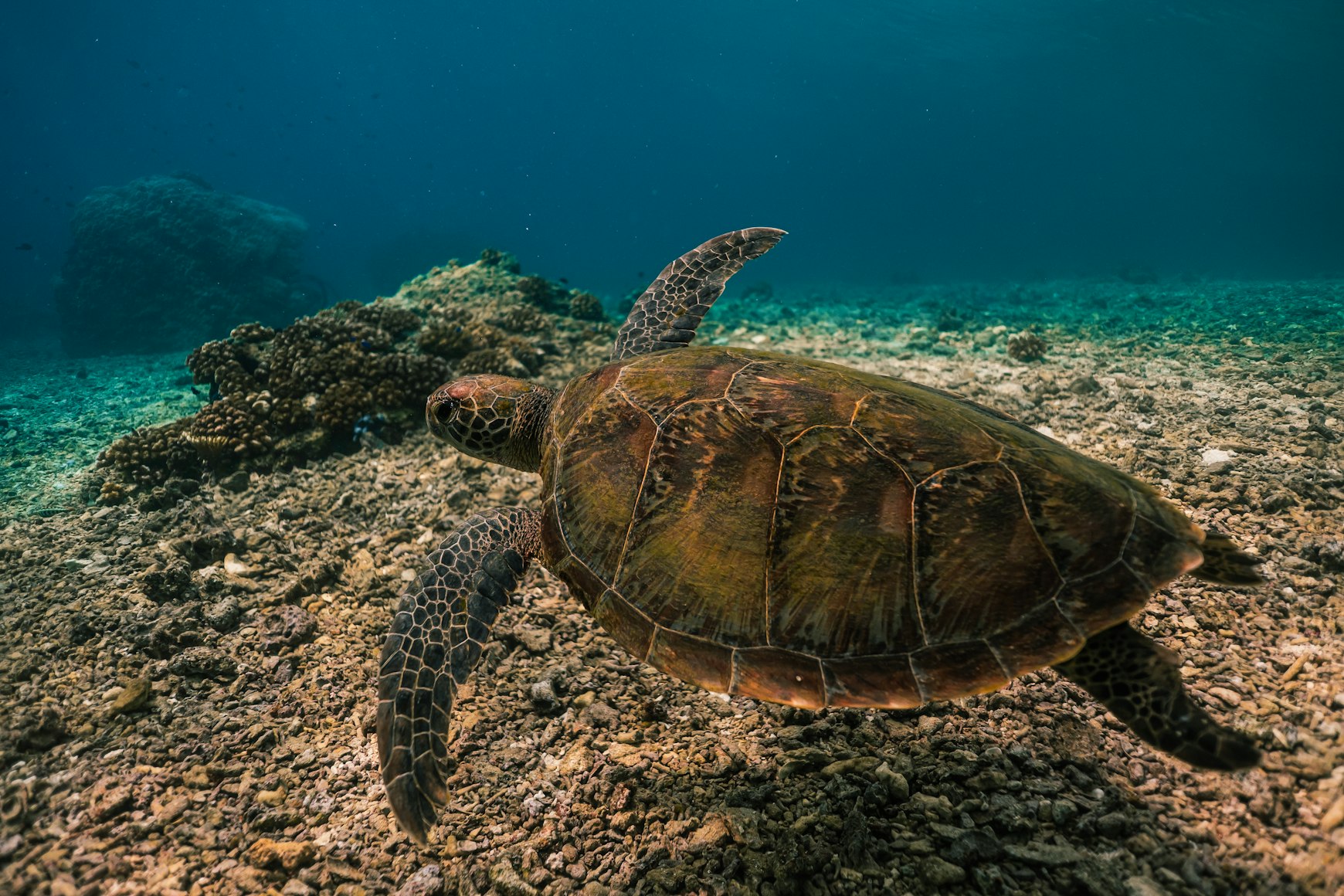 Panagsama Beach Cebu Philippines