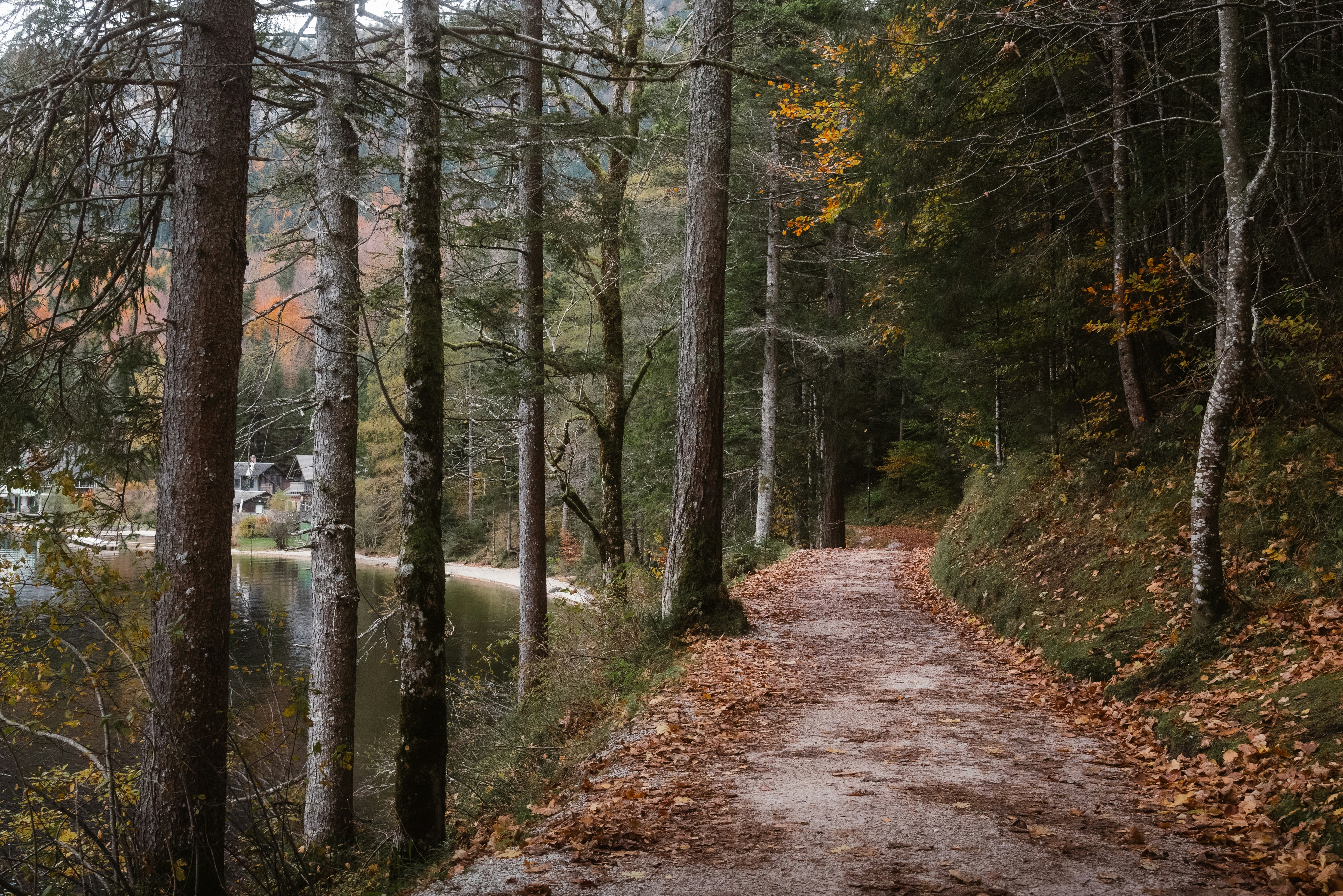 Photo by ahmetyuksek