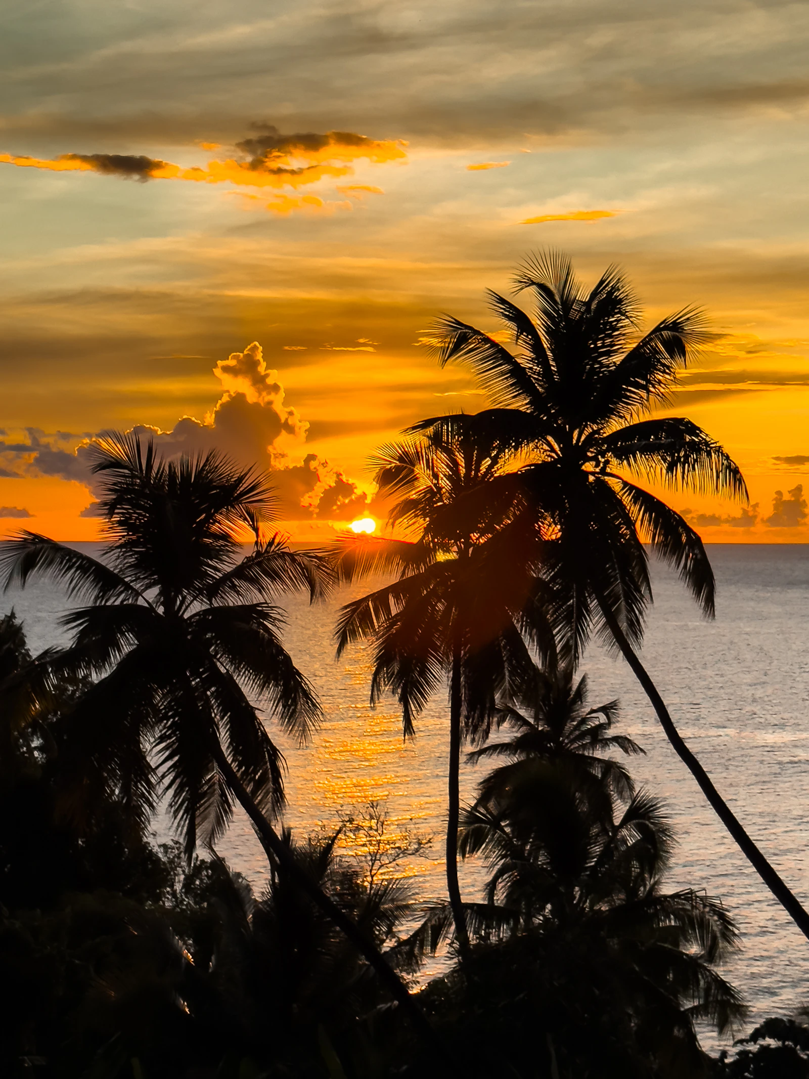 Punta Cana, República Dominicana