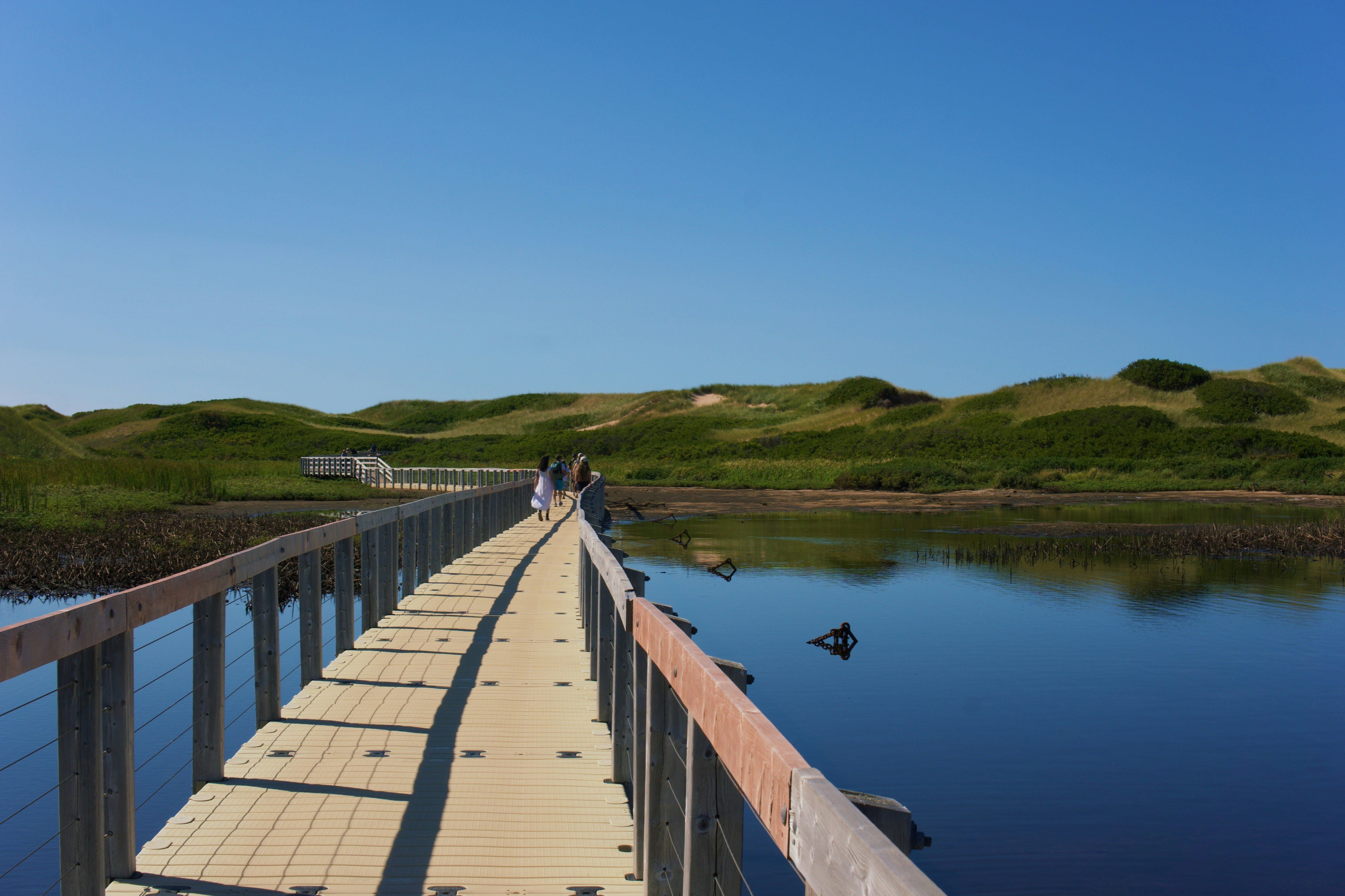 Wooden boardwalk over water with grassy dunes beyond