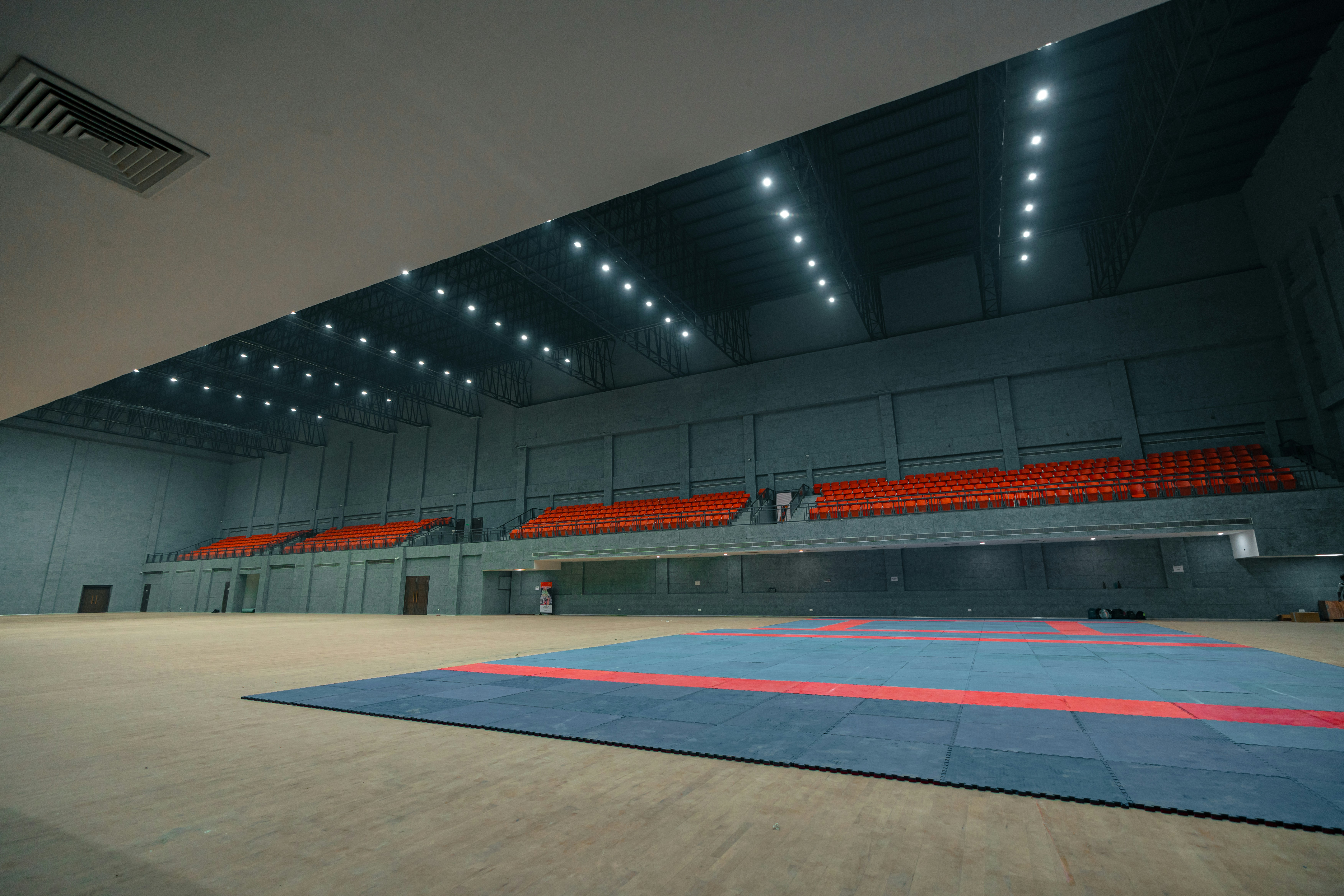 Público en una arena durante un concierto con luces de escenario