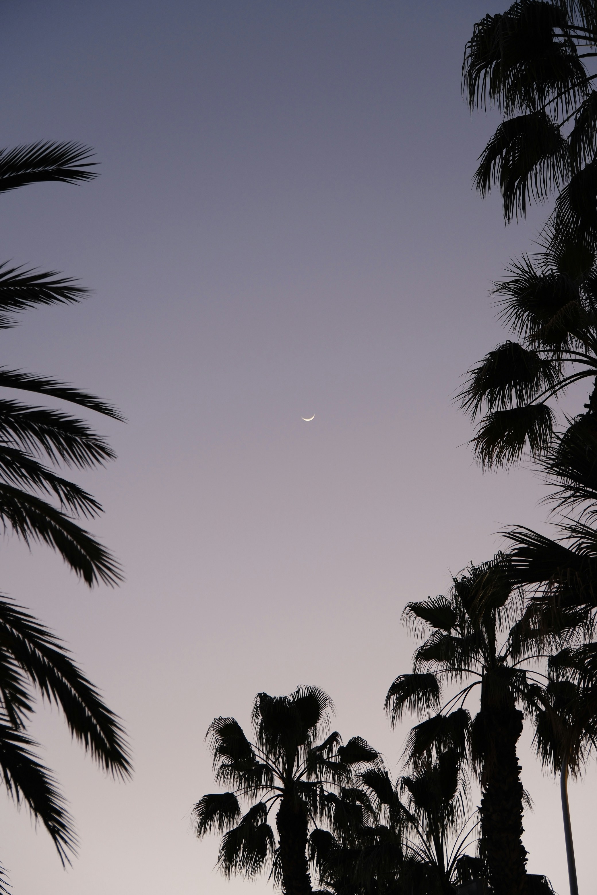 Photo by raulmermans