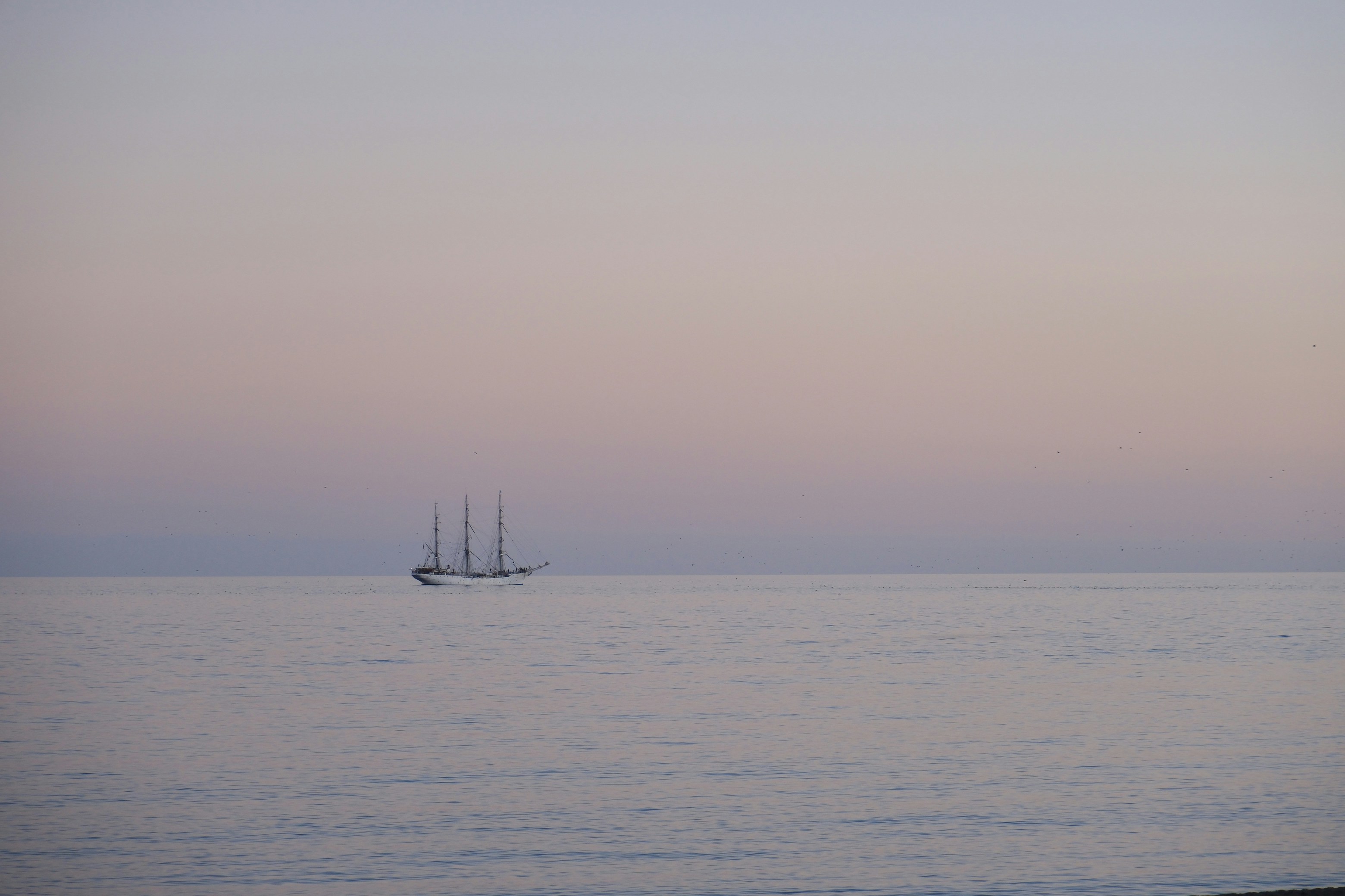 Photo by raulmermans