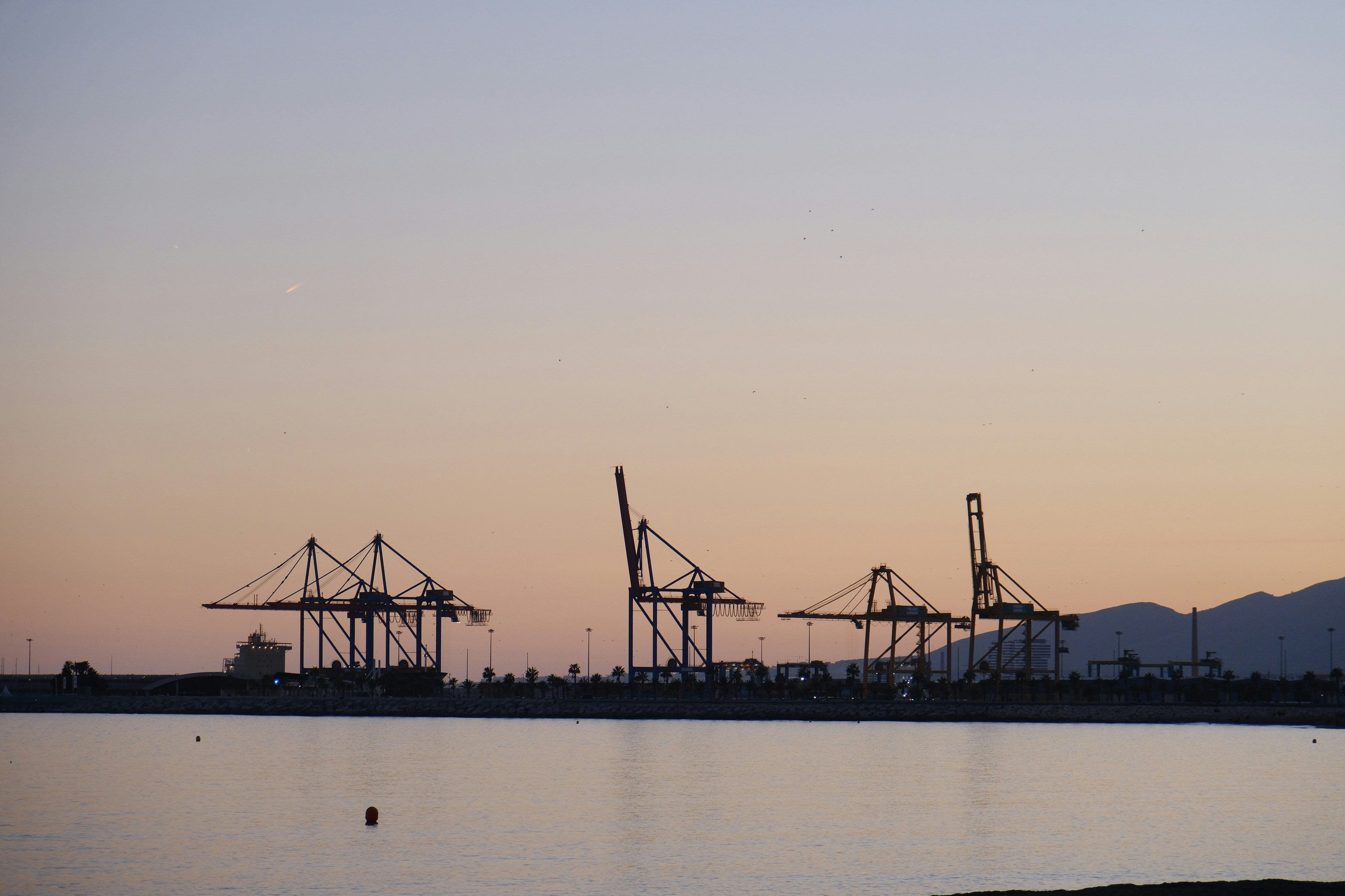 Photo by raulmermans