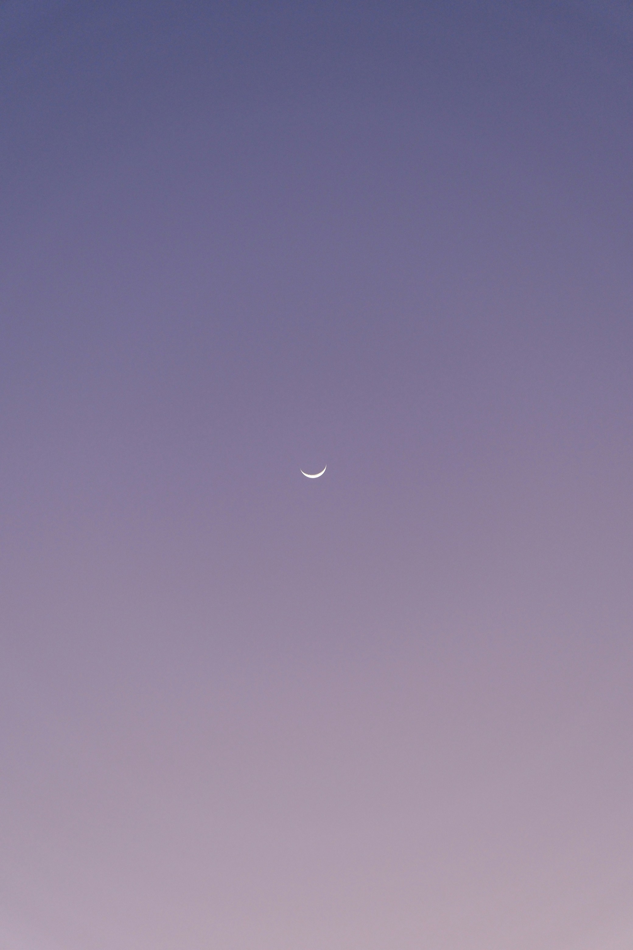 Photo by raulmermans