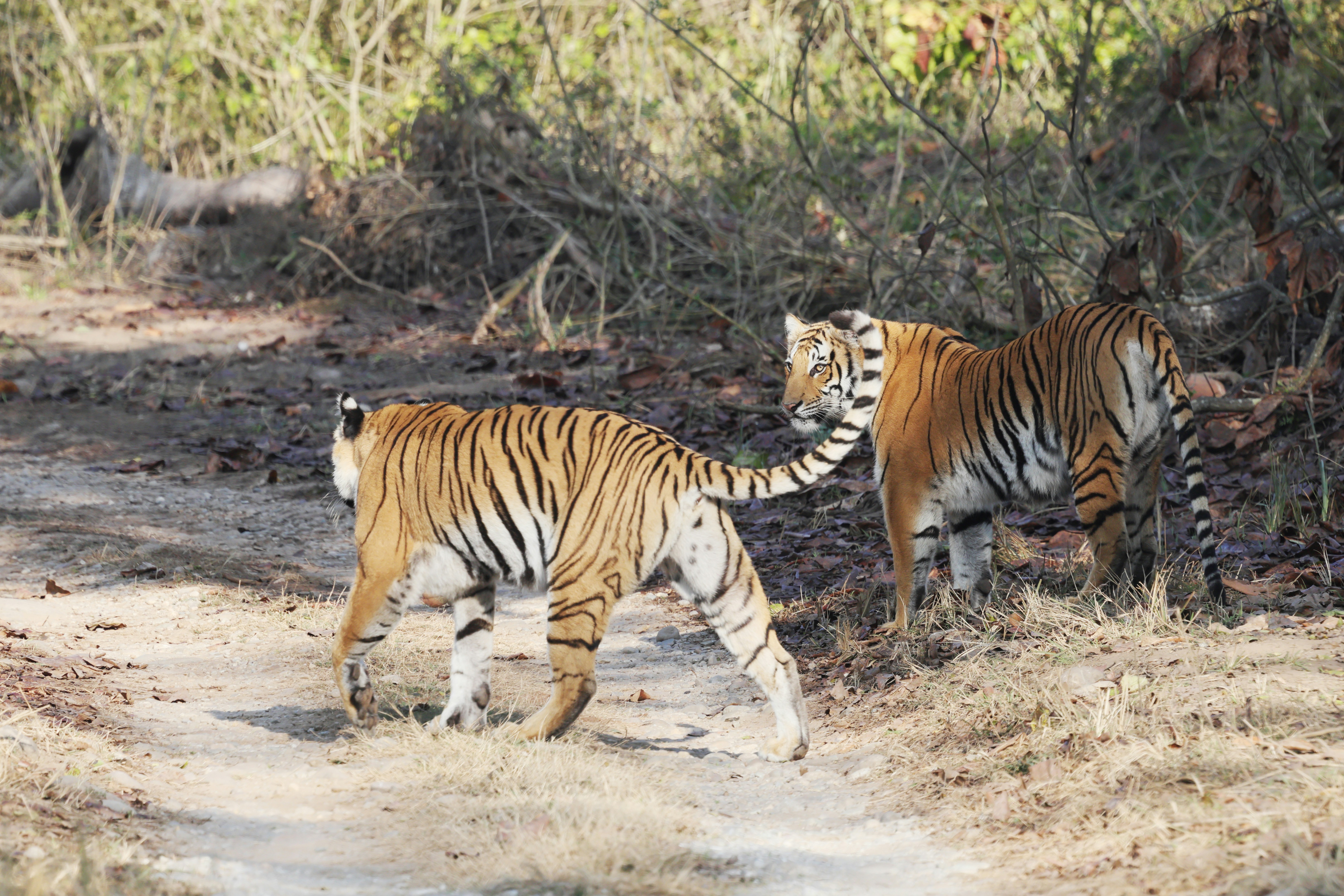 Photo by lakshmimn68