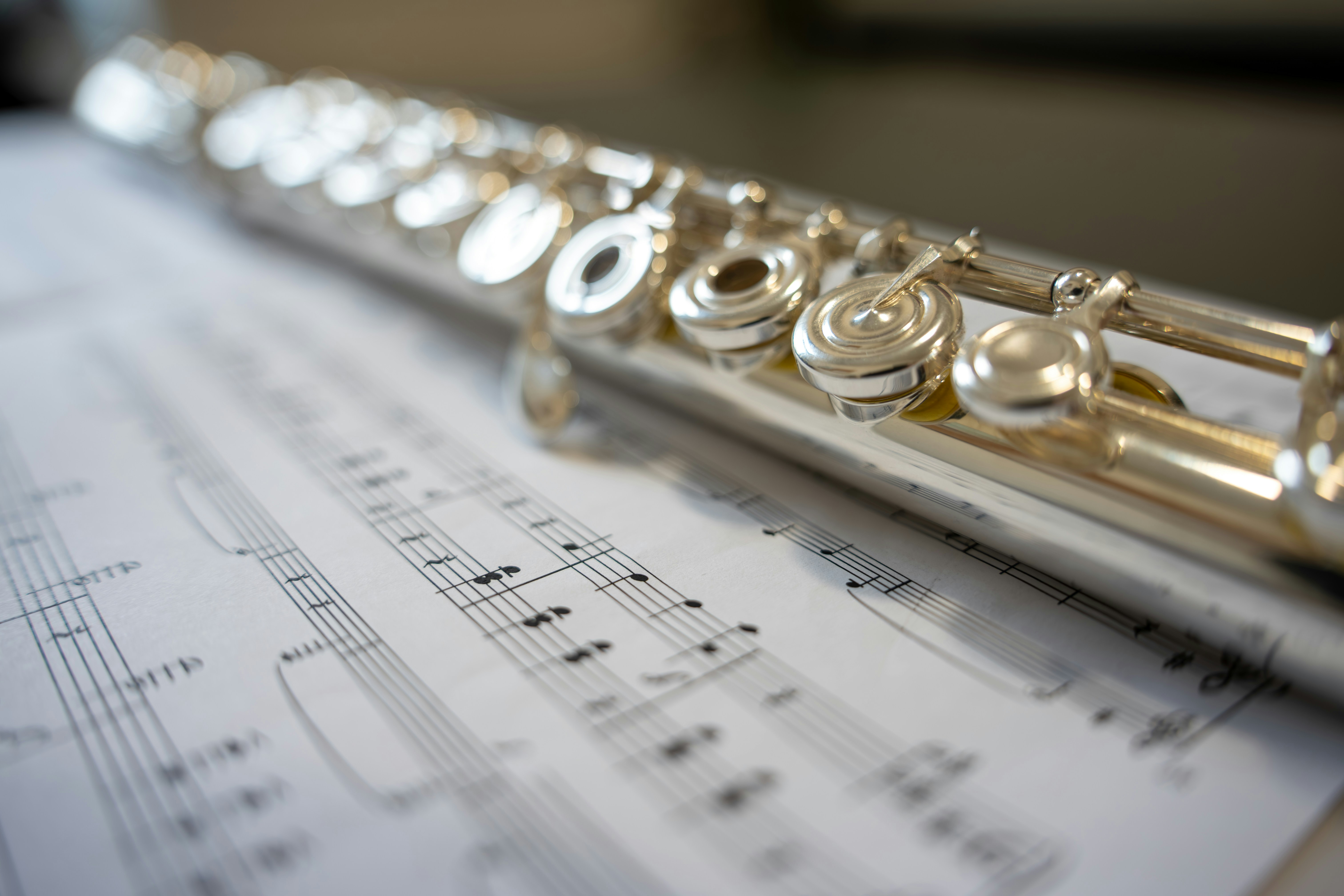 Photo by robi_photography_