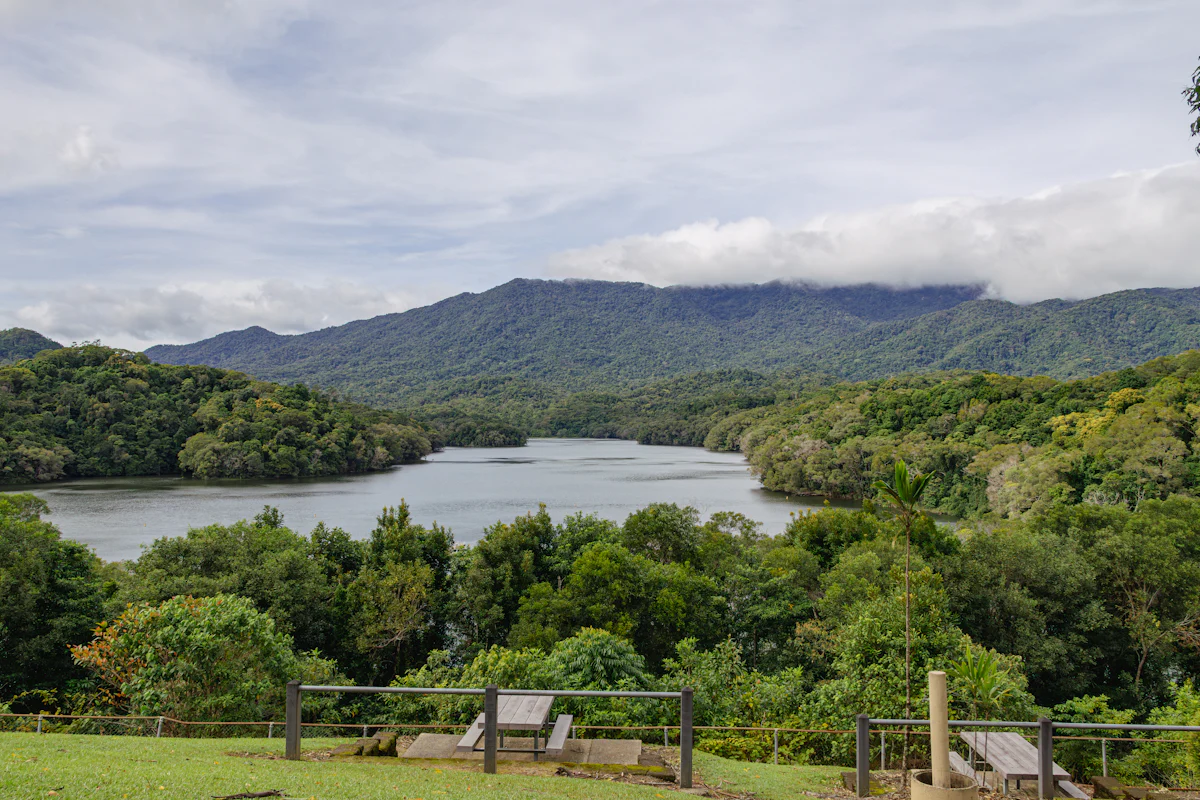 Tapola