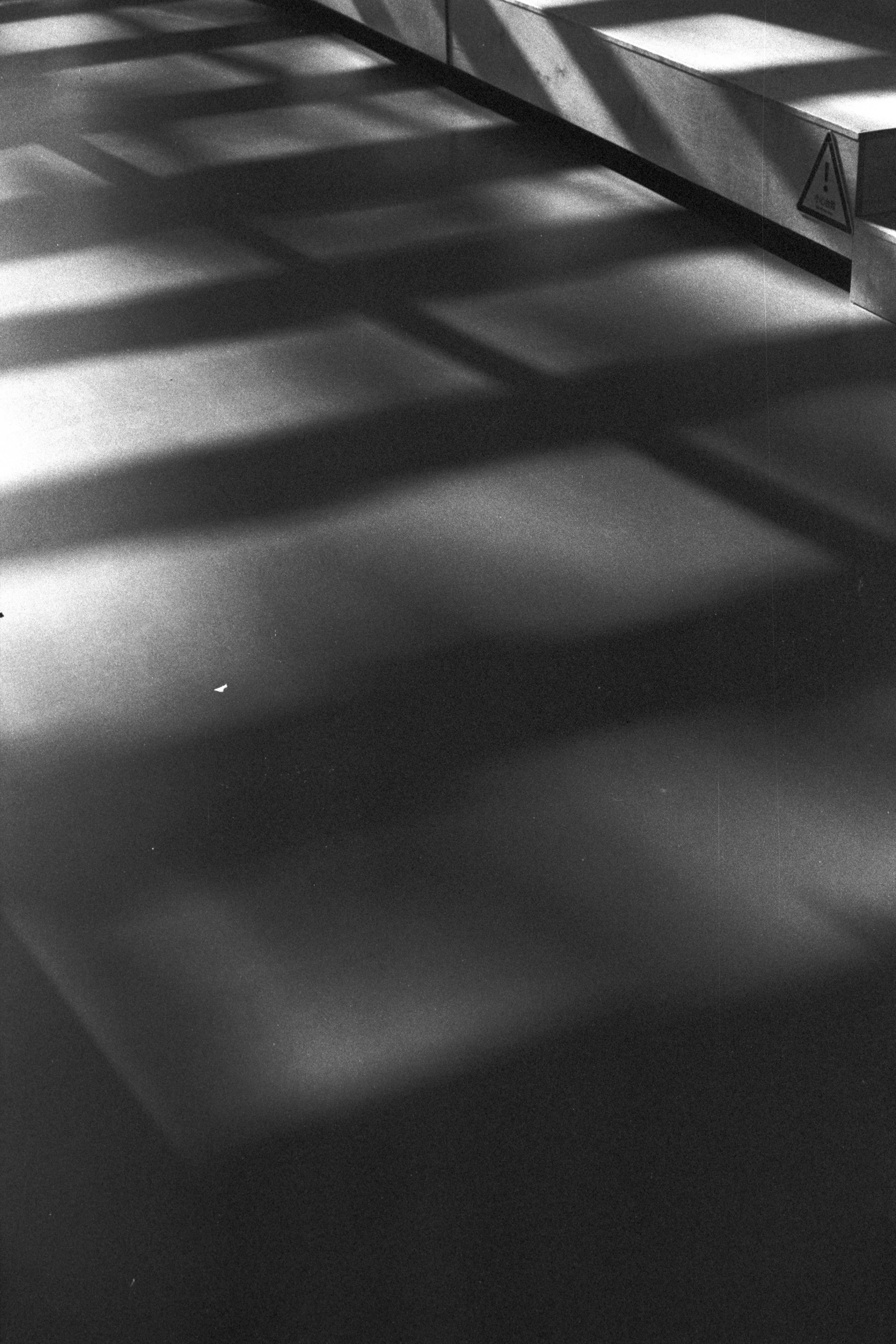 Photo by dingster_unsplash