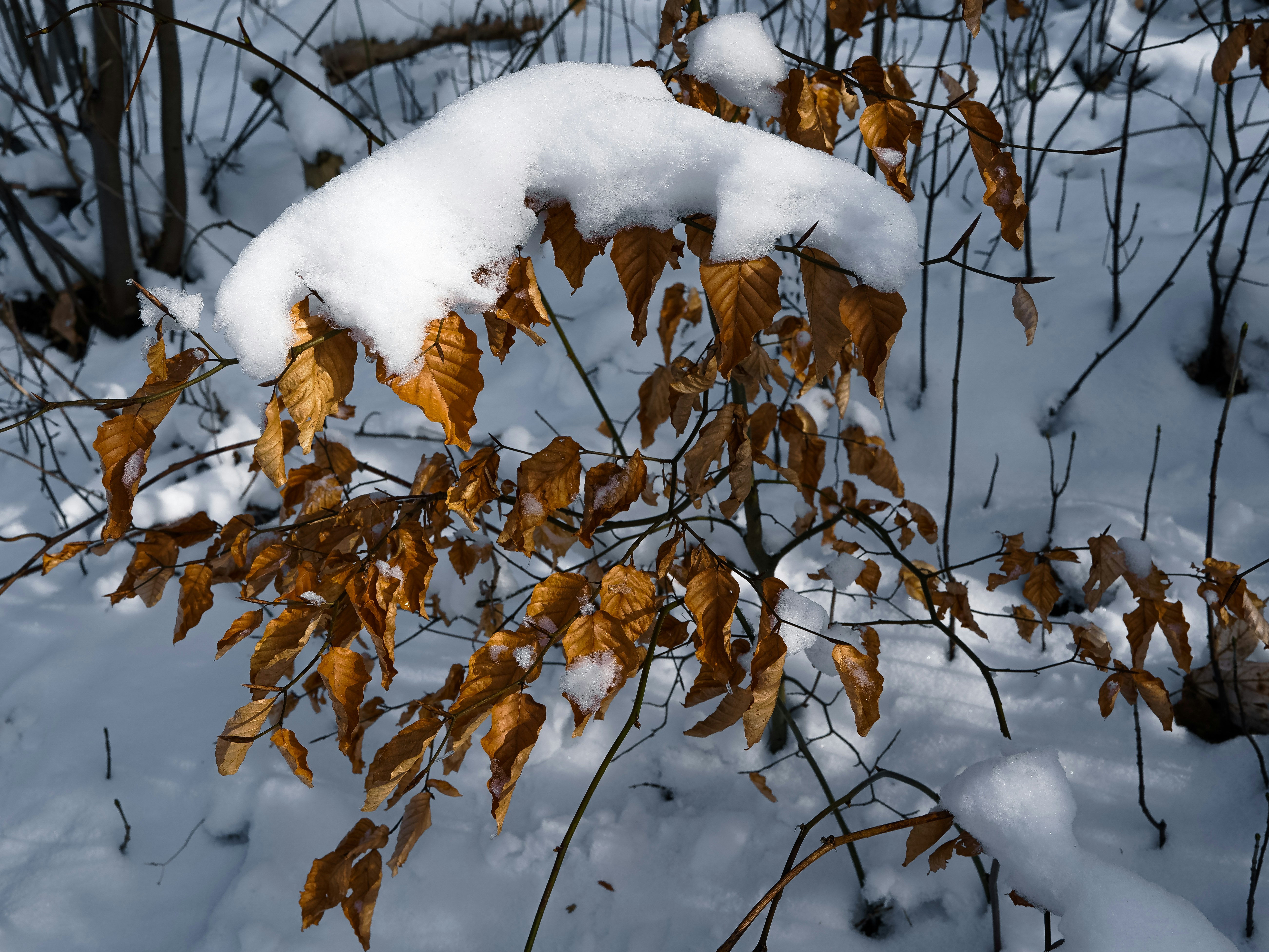 Photo by hamburgmeinefreundin