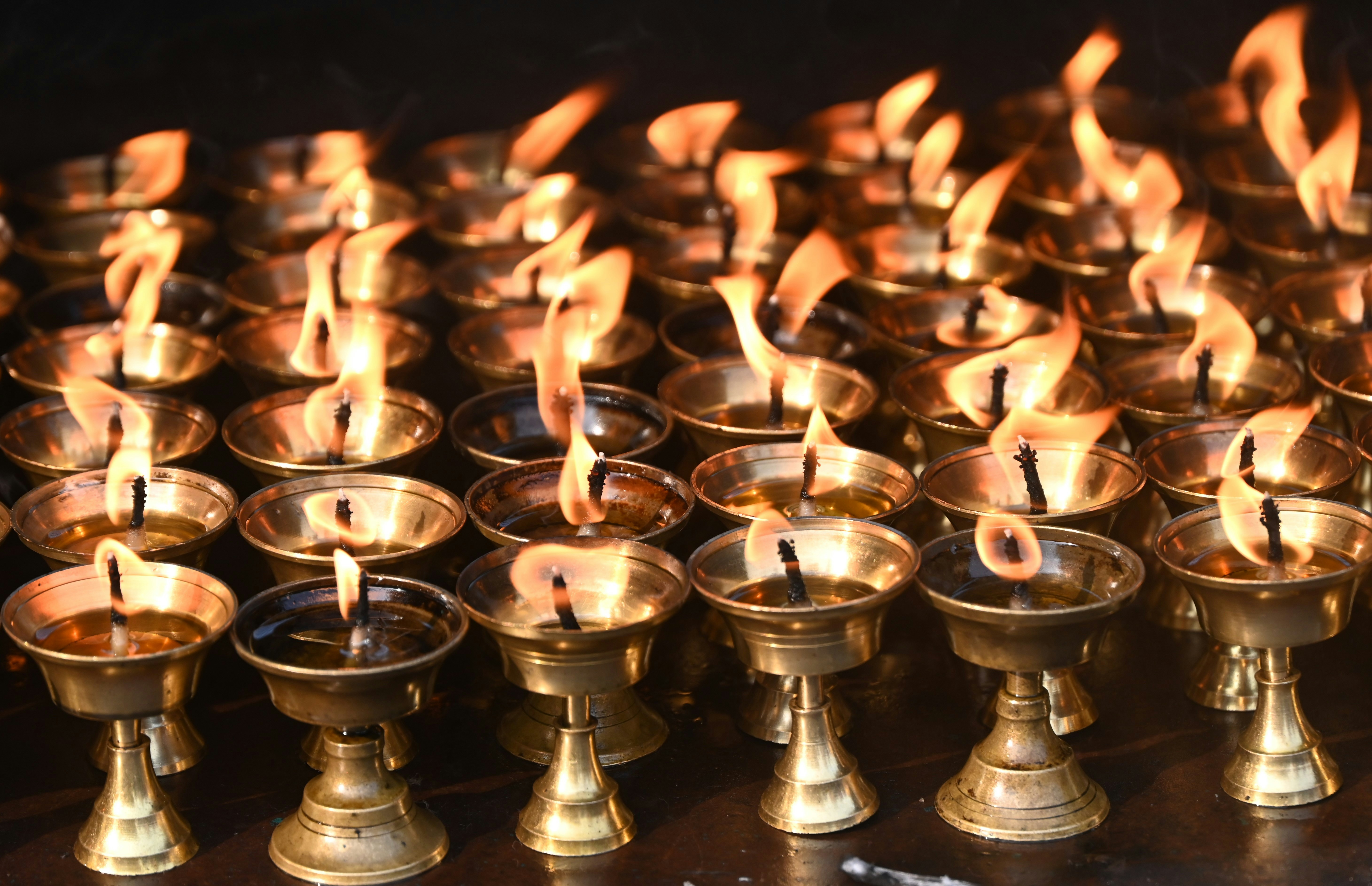 Butter lamps glowing inside Ralong Monastery Ravangla Sikkim evening prayer