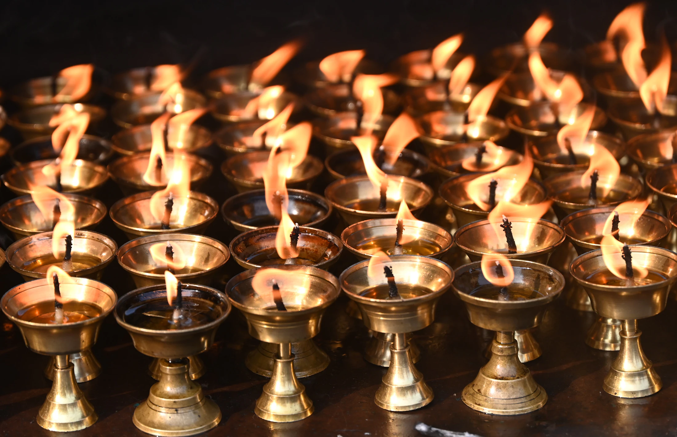 Brass oil lamps lit in a row