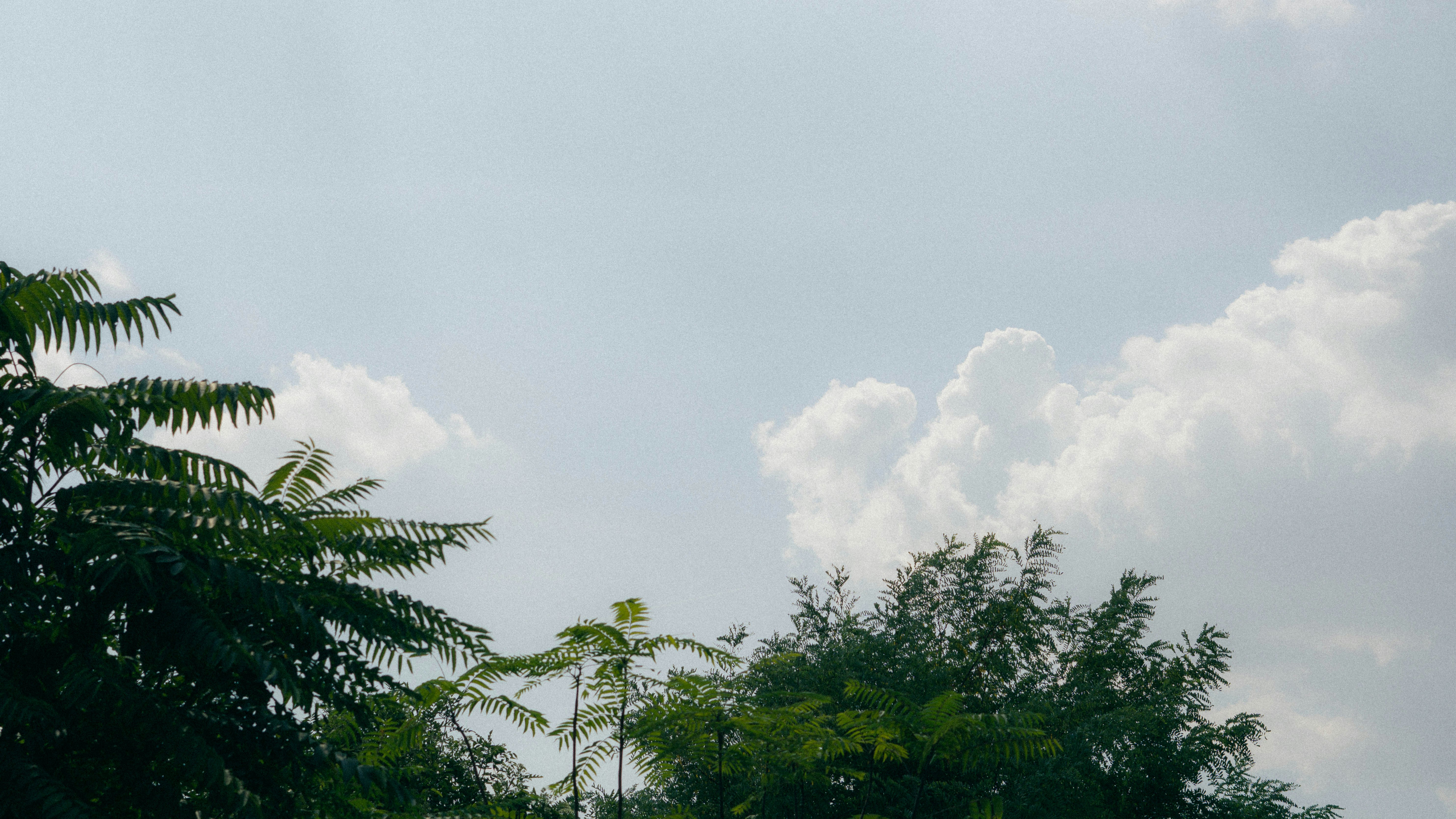 Photo by davidteixsilva