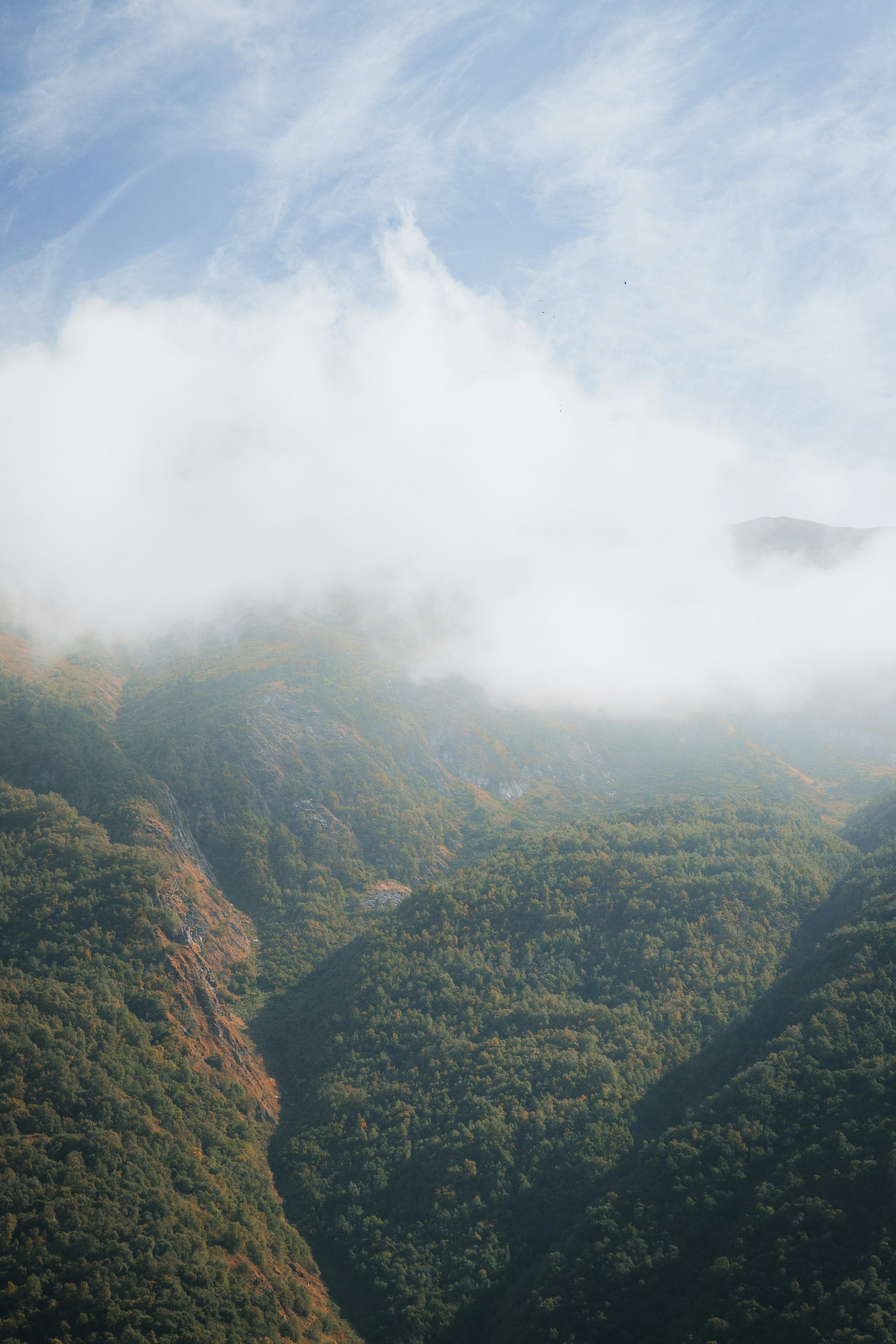 Photo by nikita_pishchugin