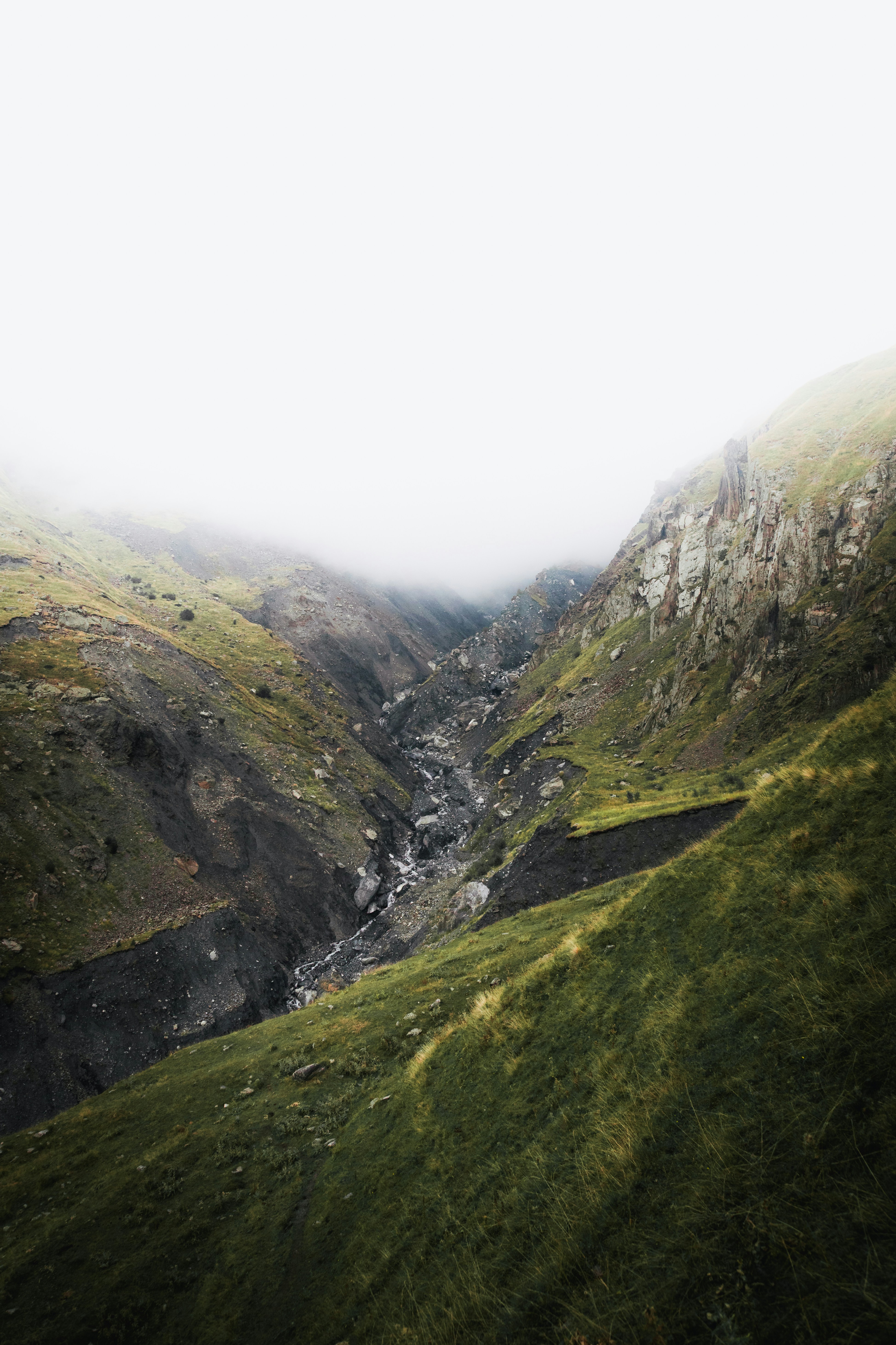 Photo by nikita_pishchugin