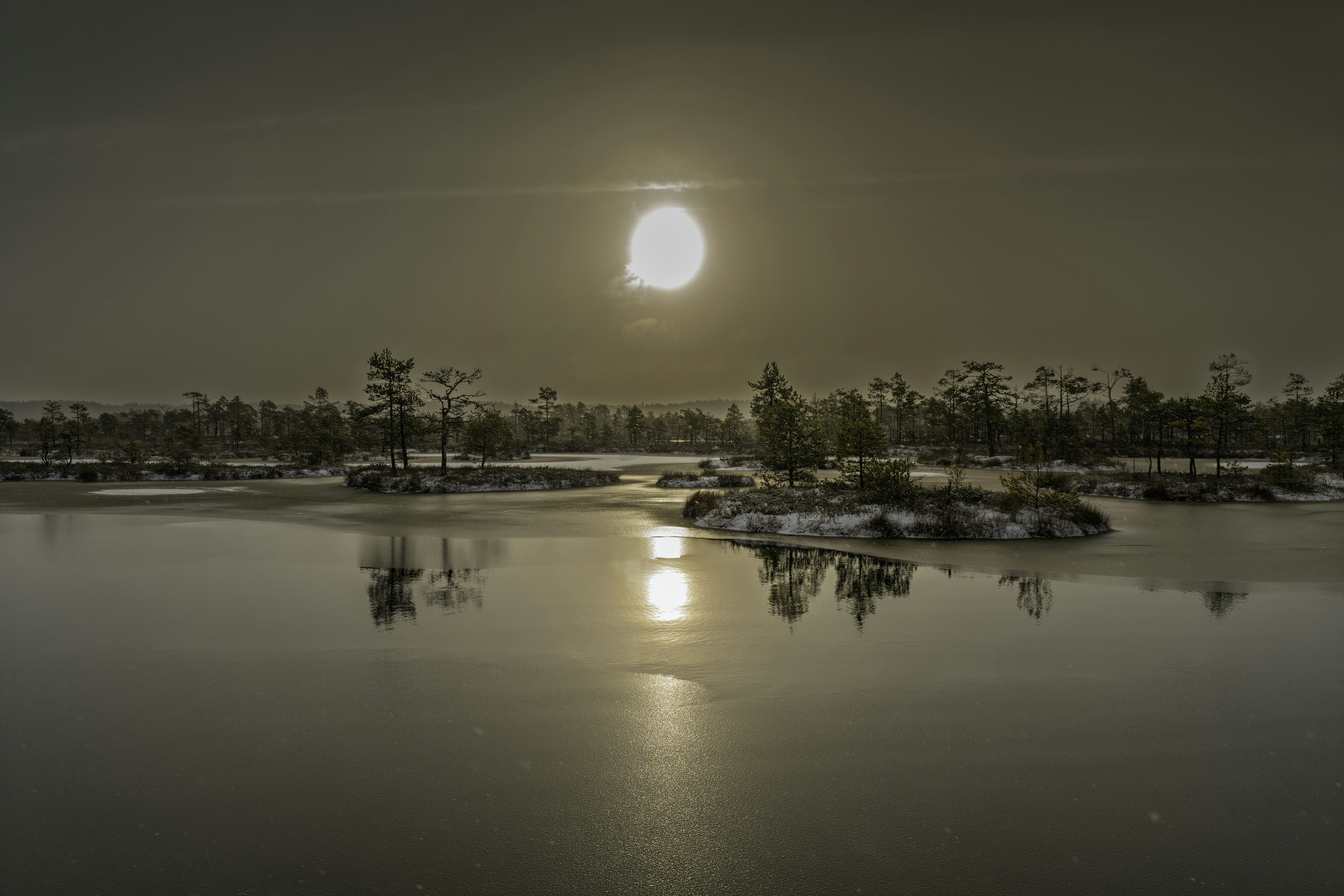 凍てつく湿地帯に沈む夕日